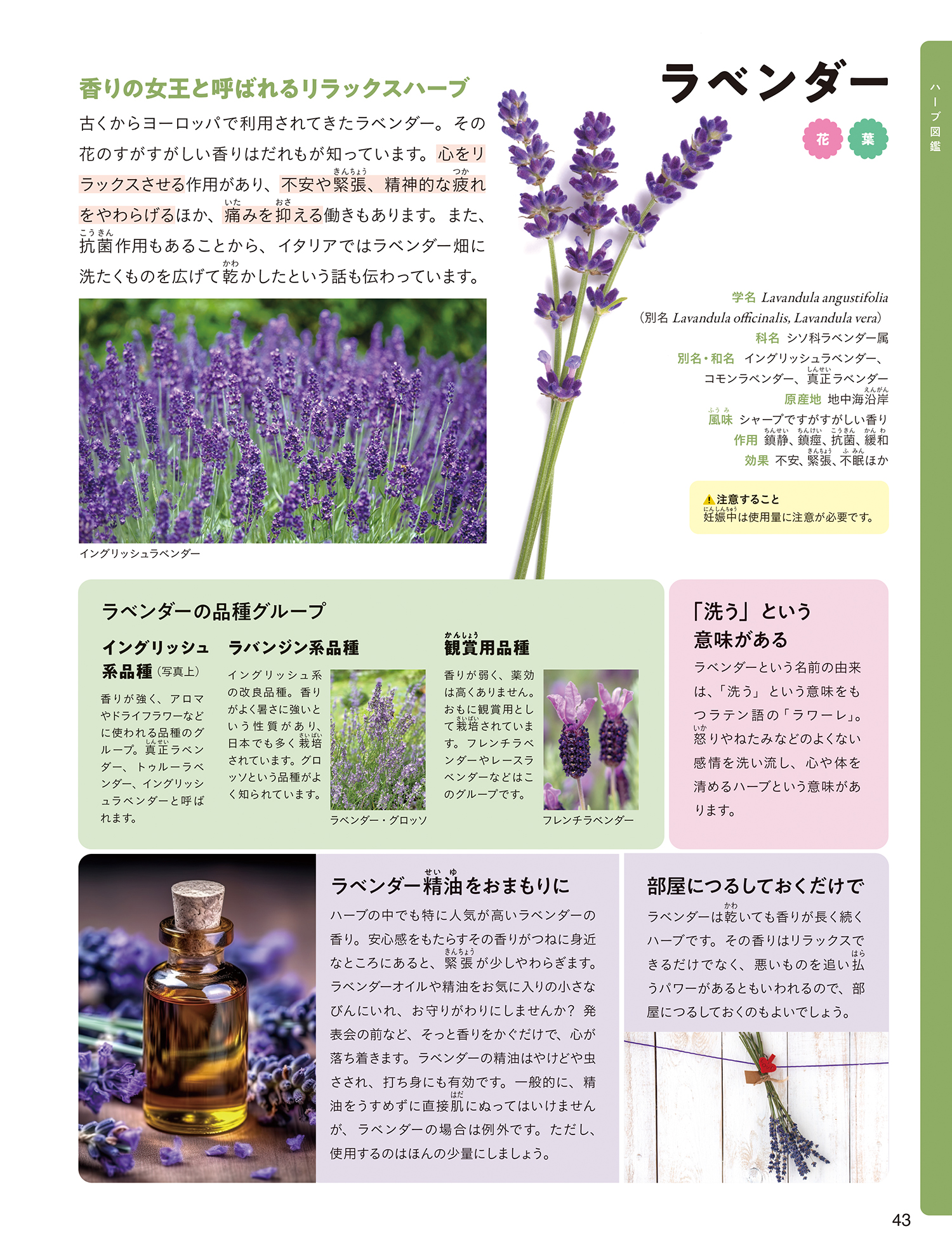 サムネイル画像6