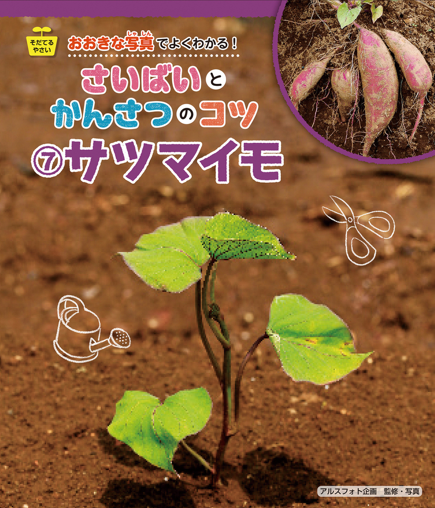 メイン画像