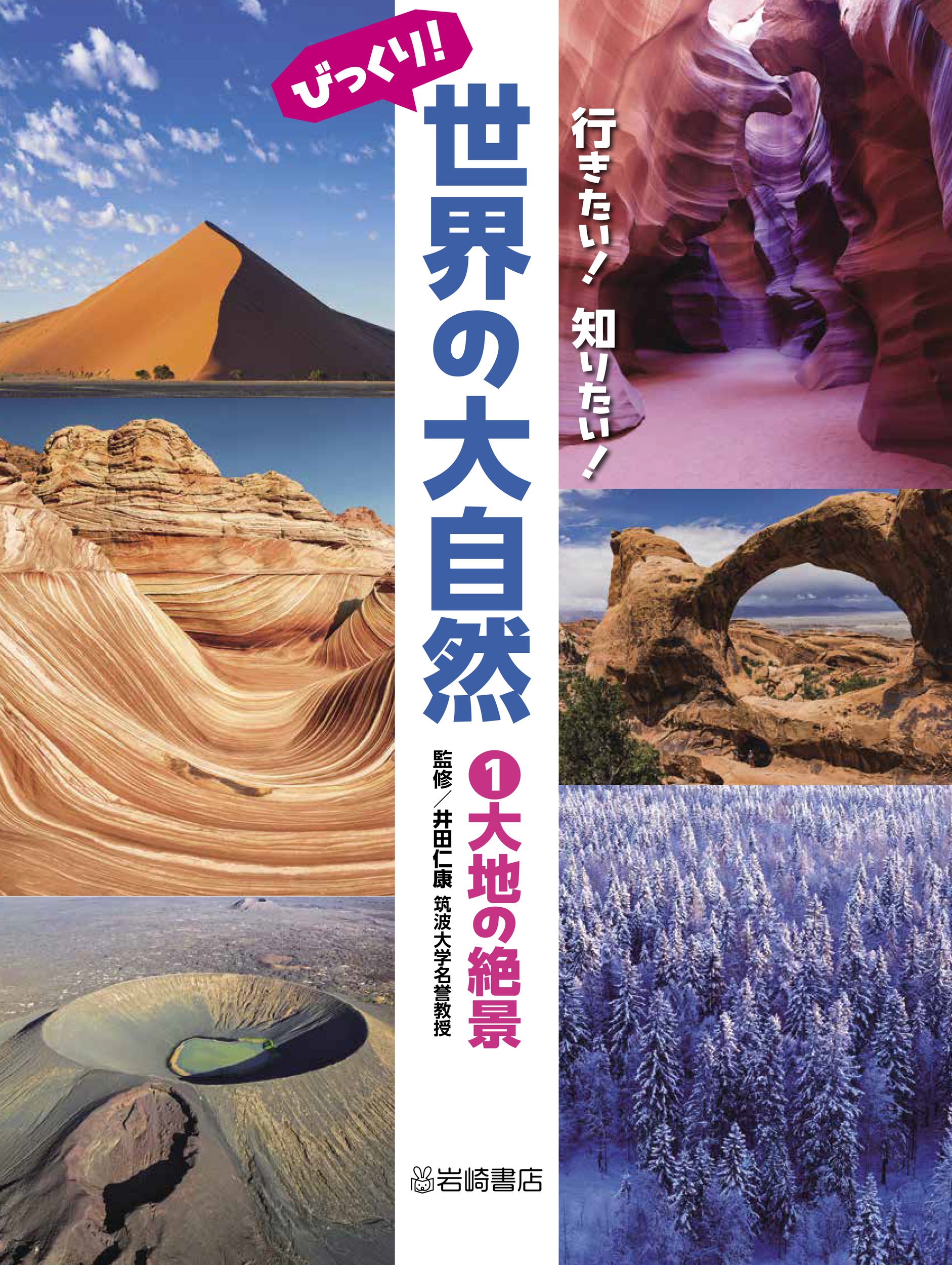メイン画像