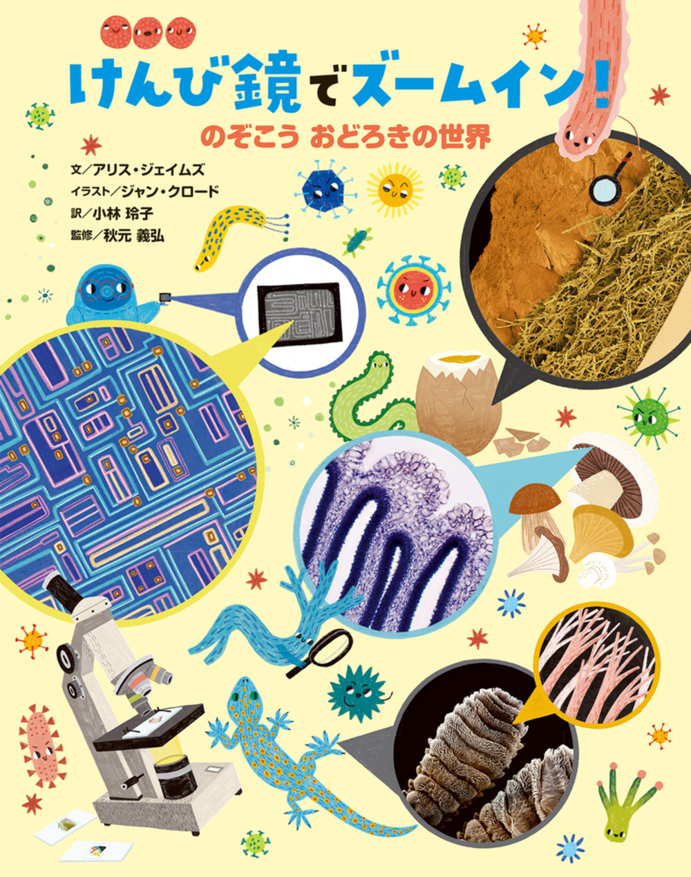 メイン画像