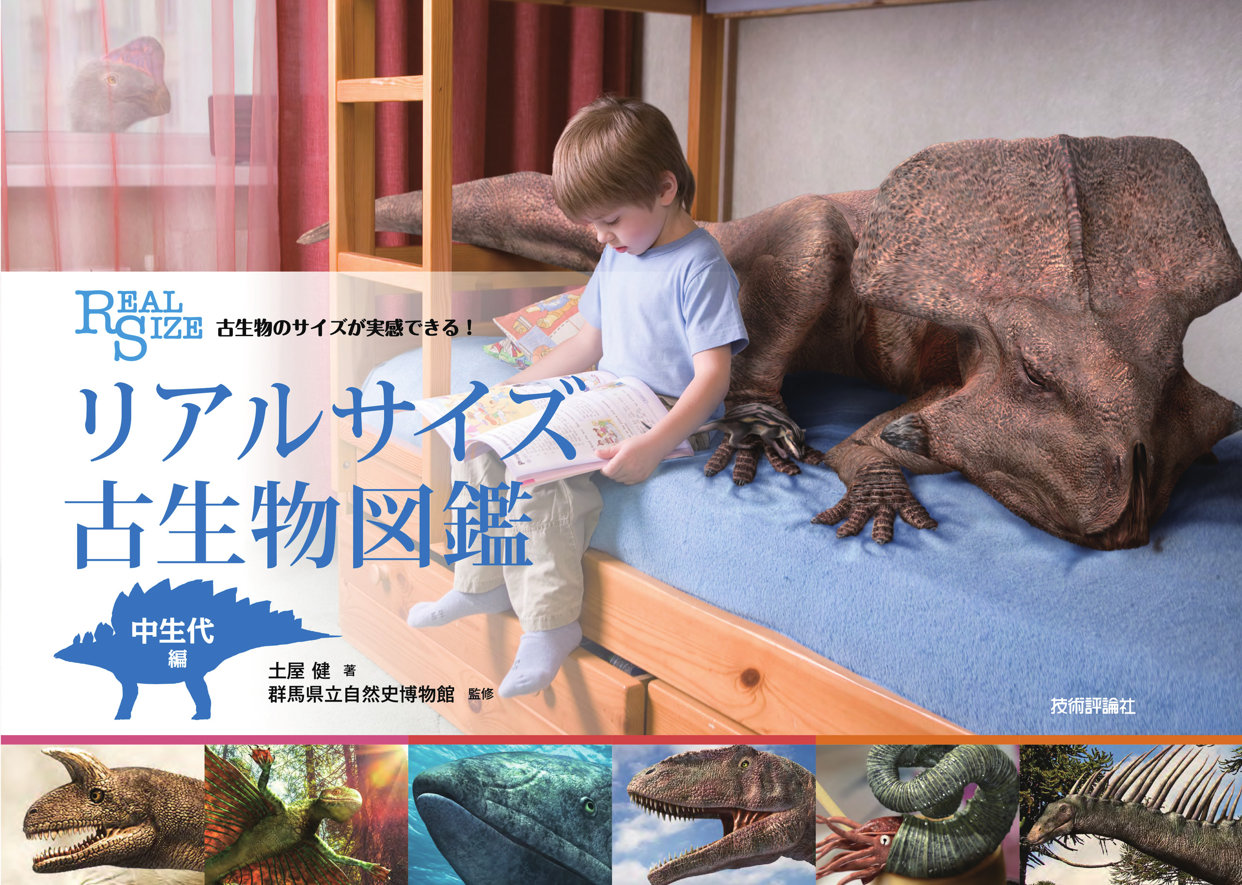 メイン画像