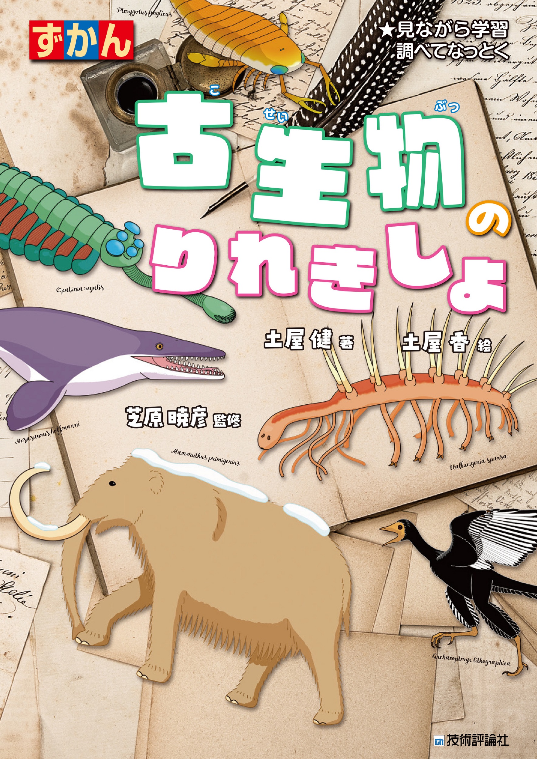 メイン画像