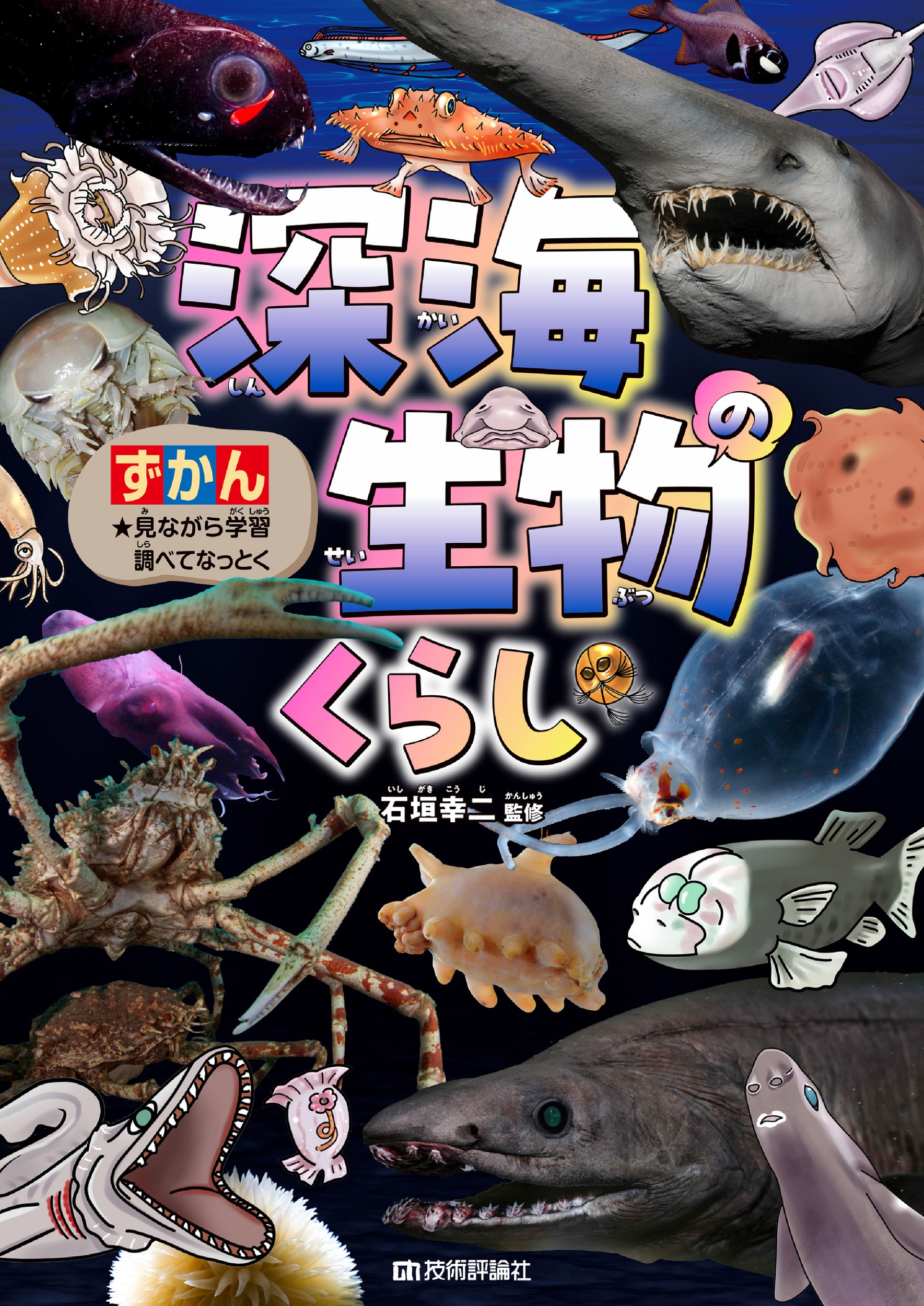 メイン画像