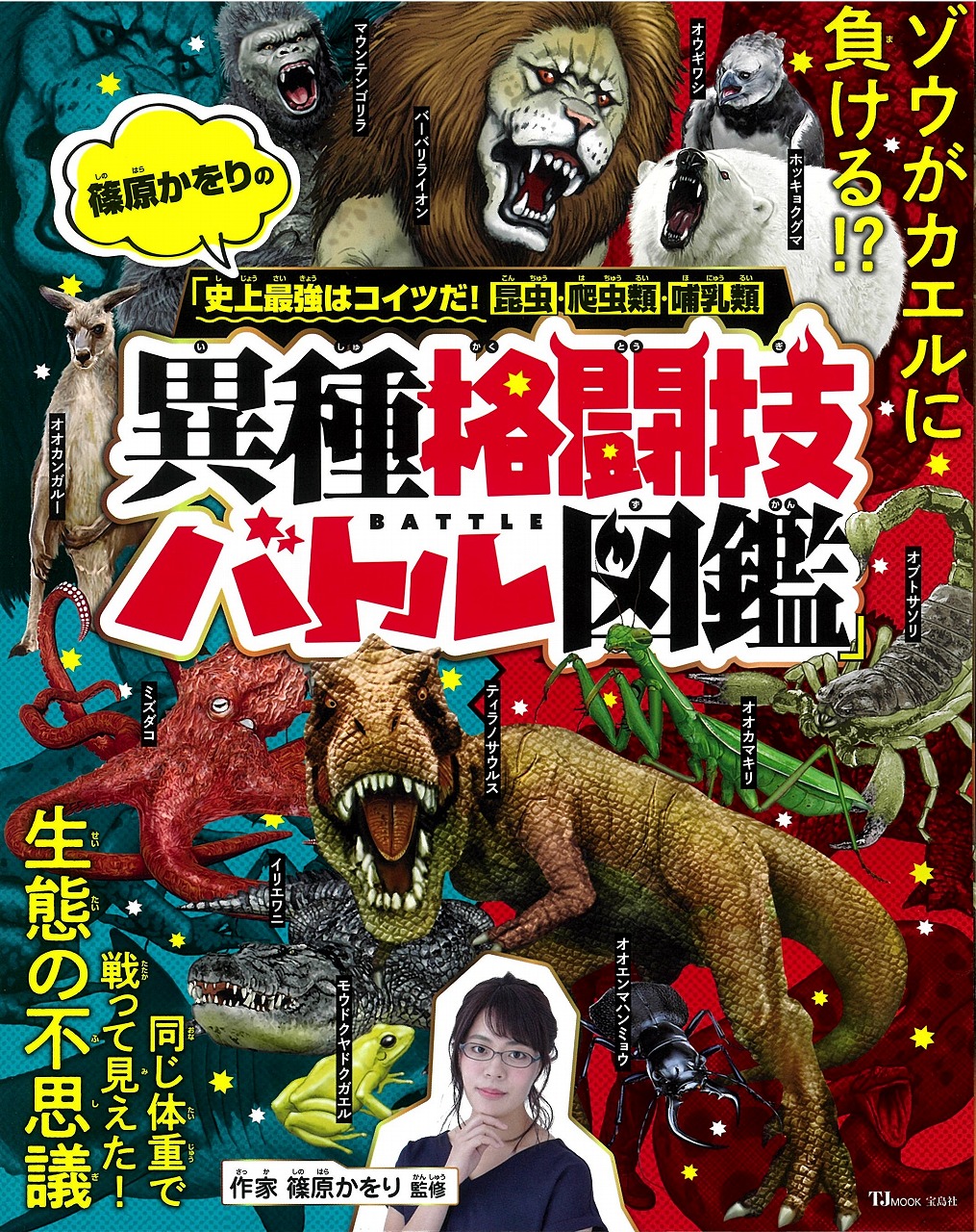 メイン画像