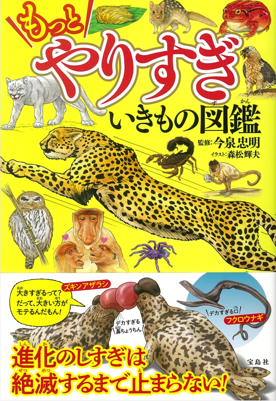 メイン画像