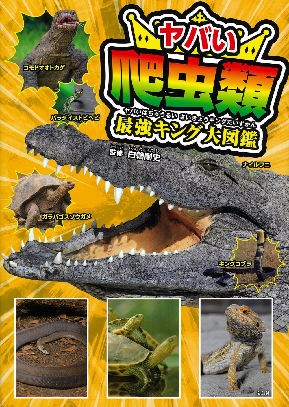 サムネイル画像1