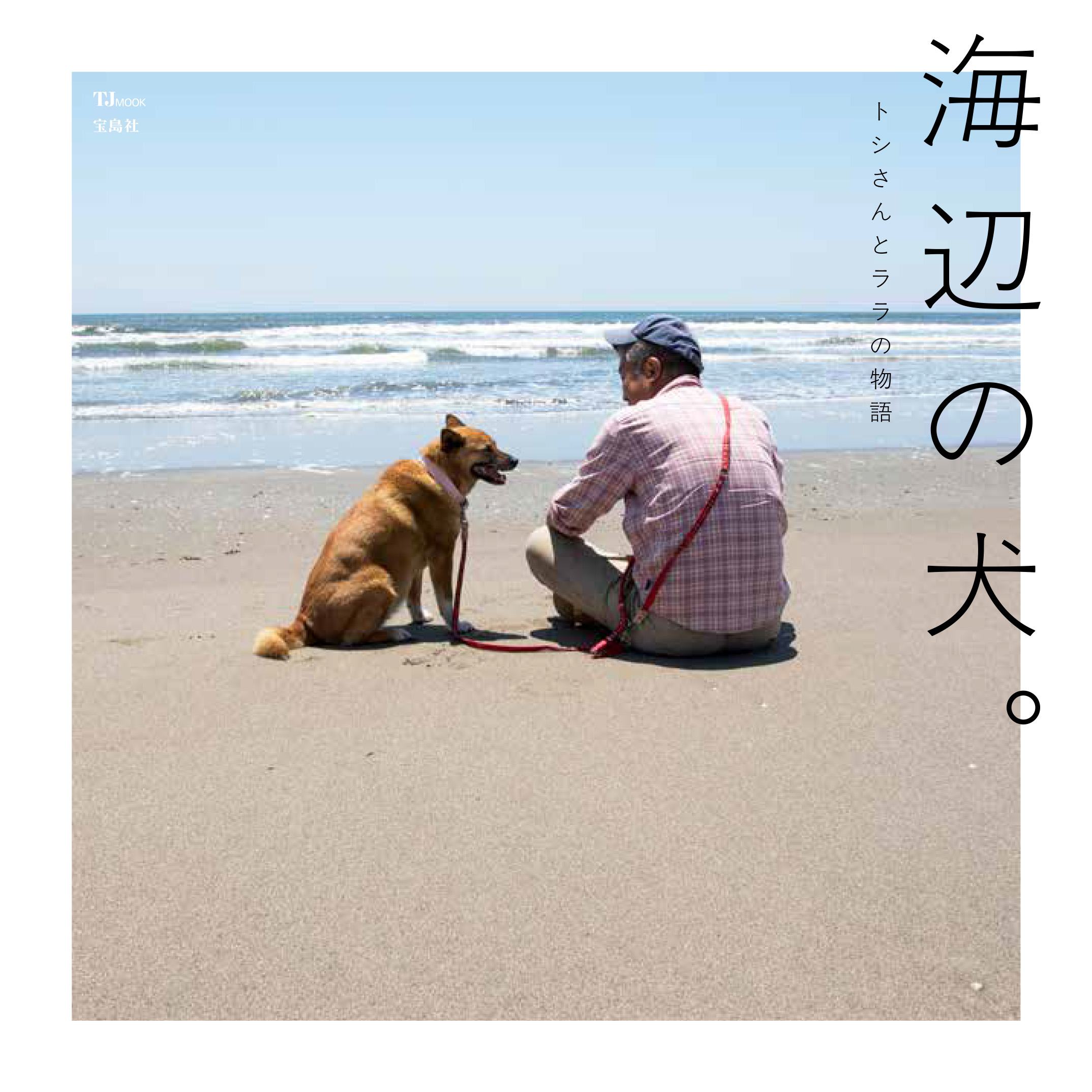 サムネイル画像1