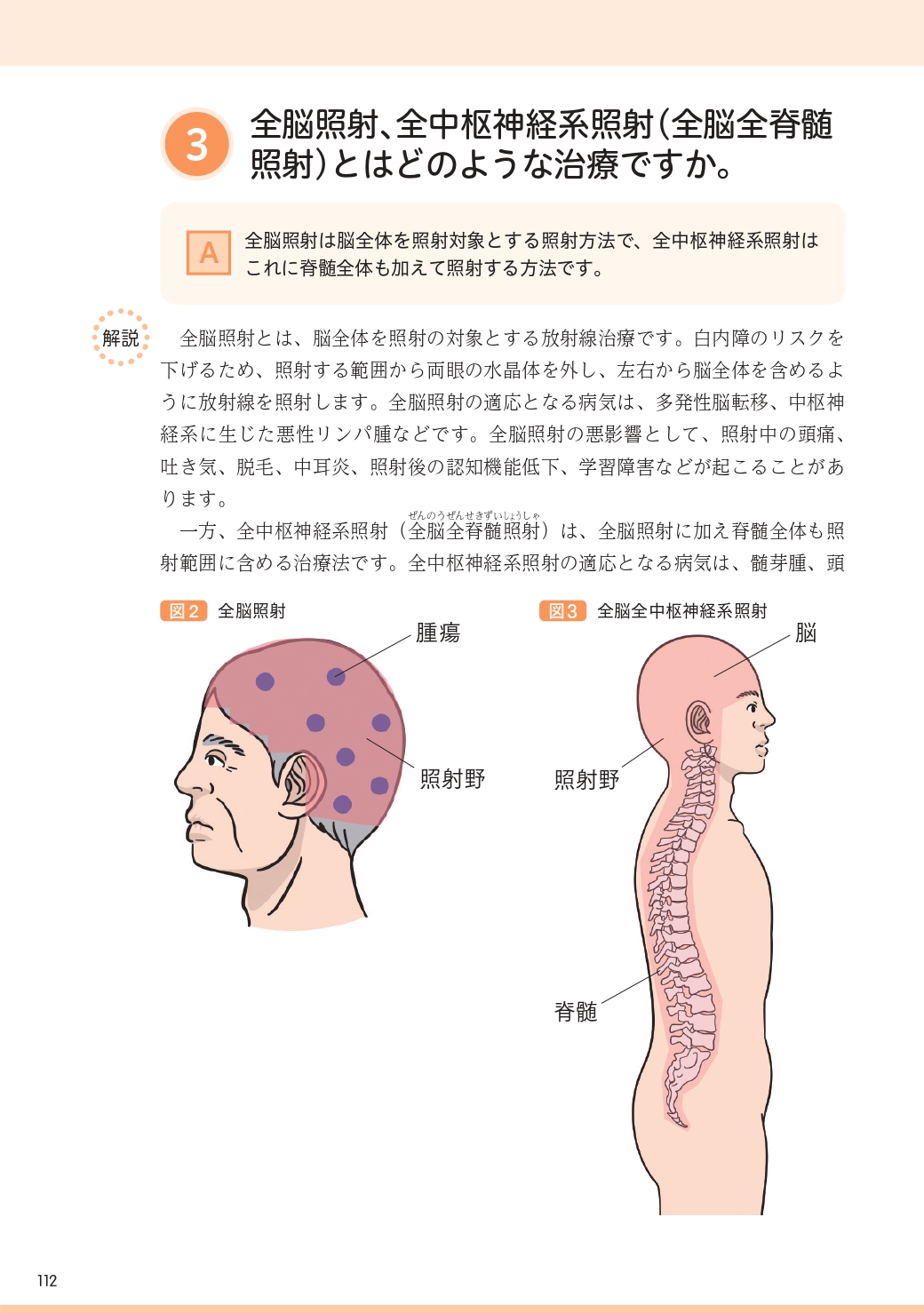 サムネイル画像8