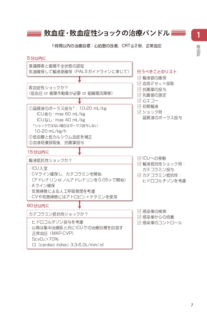 サムネイル画像6