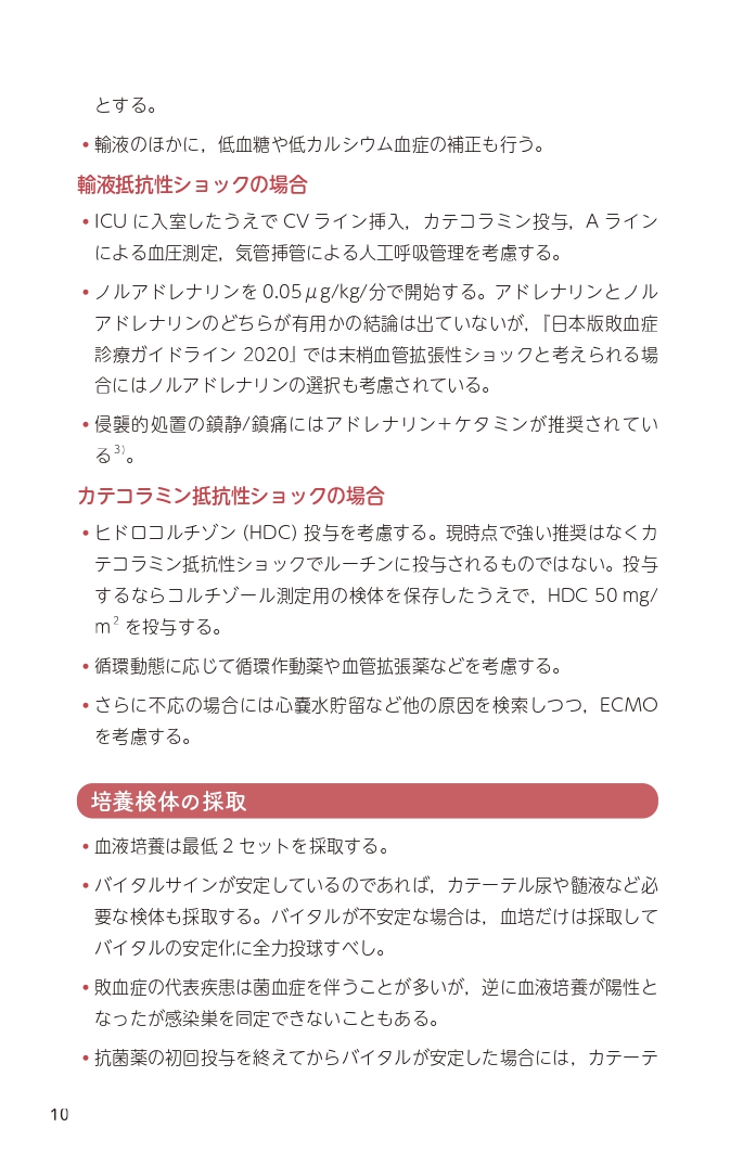 サムネイル画像9