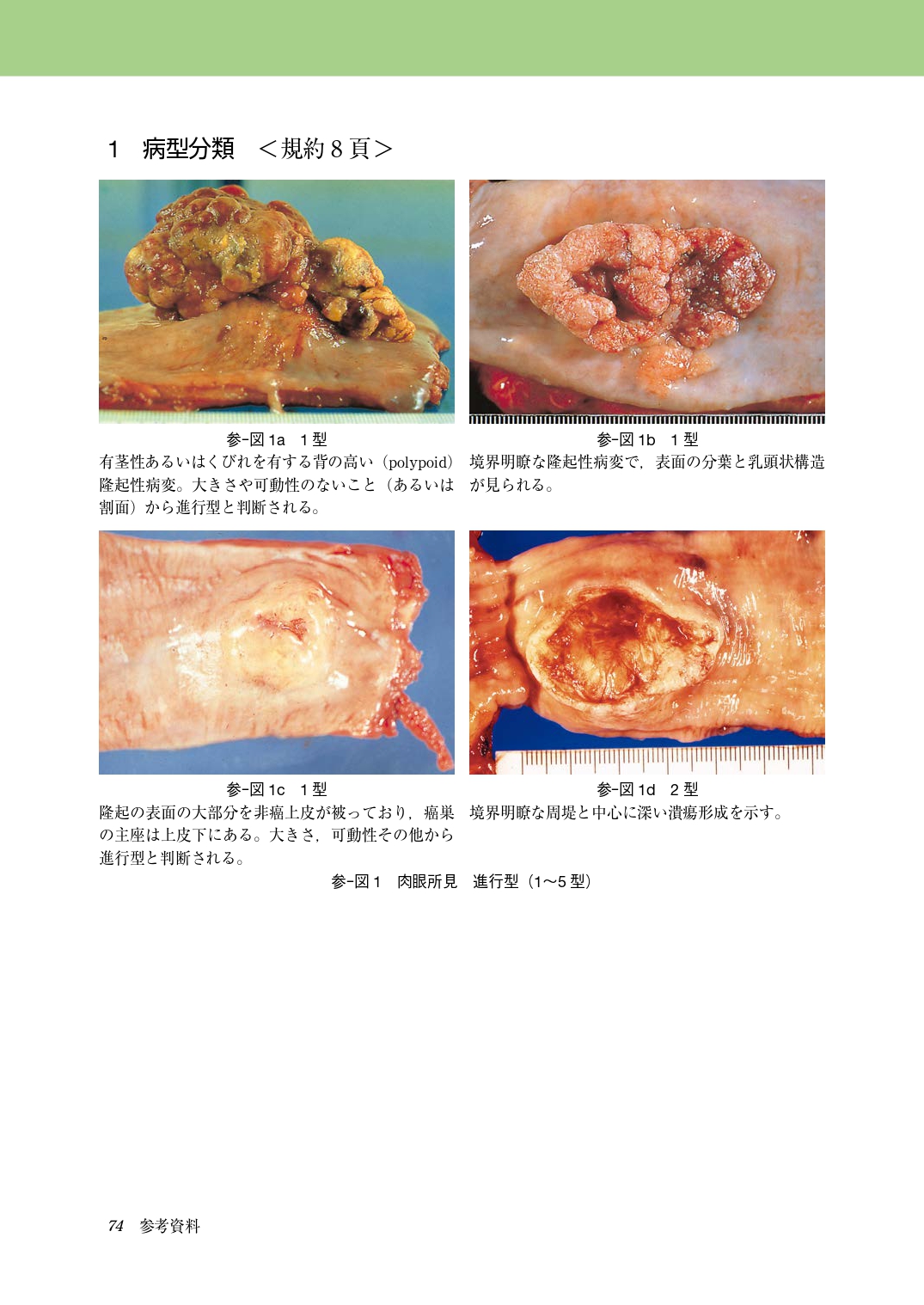 サムネイル画像5