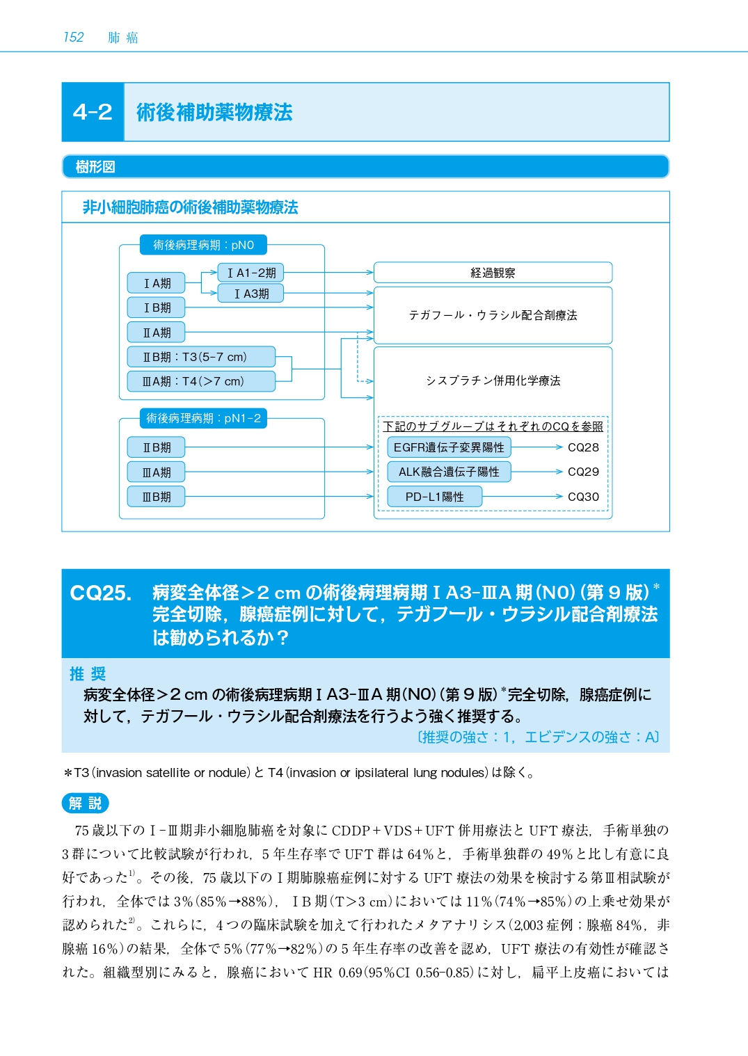 サムネイル画像6