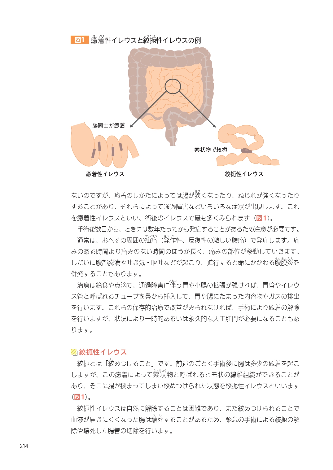 サムネイル画像5