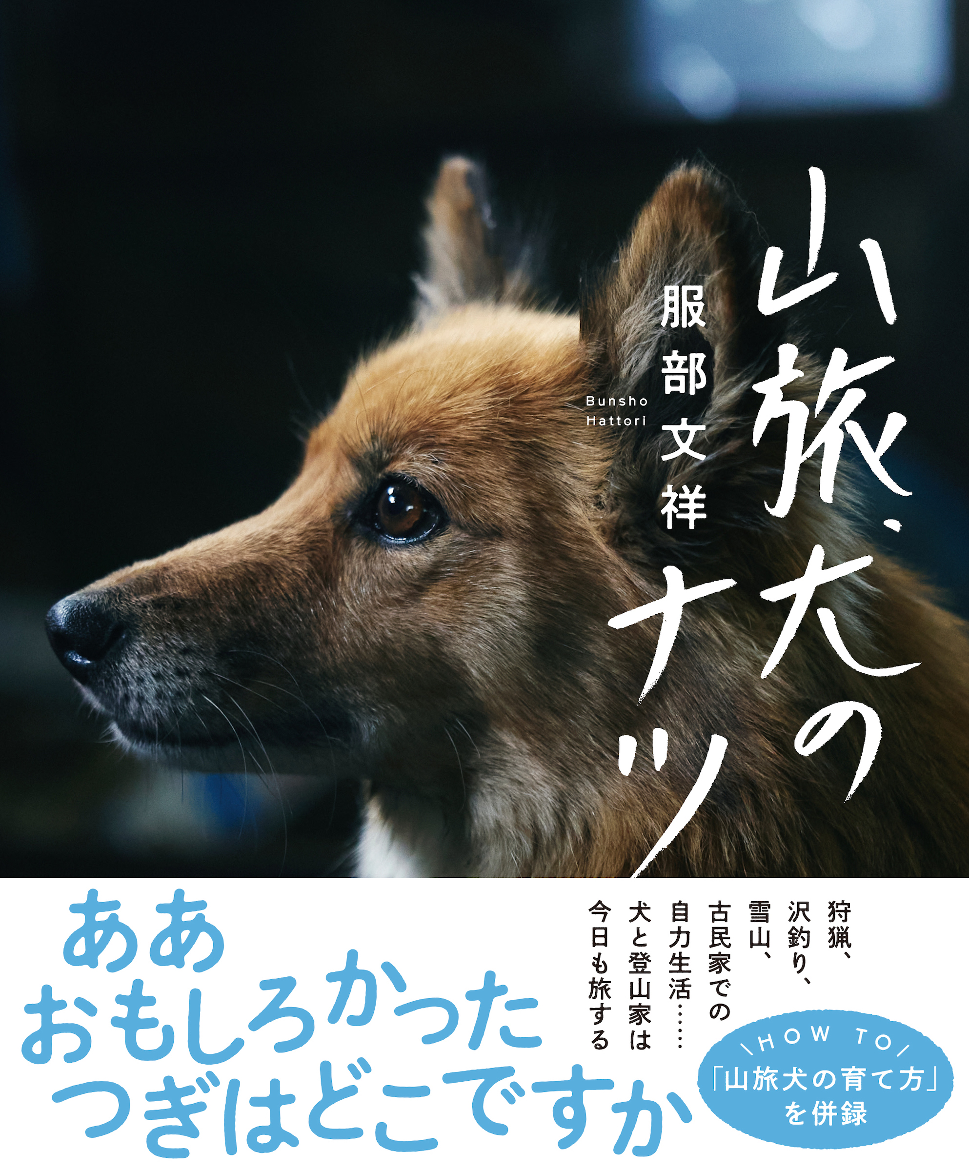 サムネイル画像1