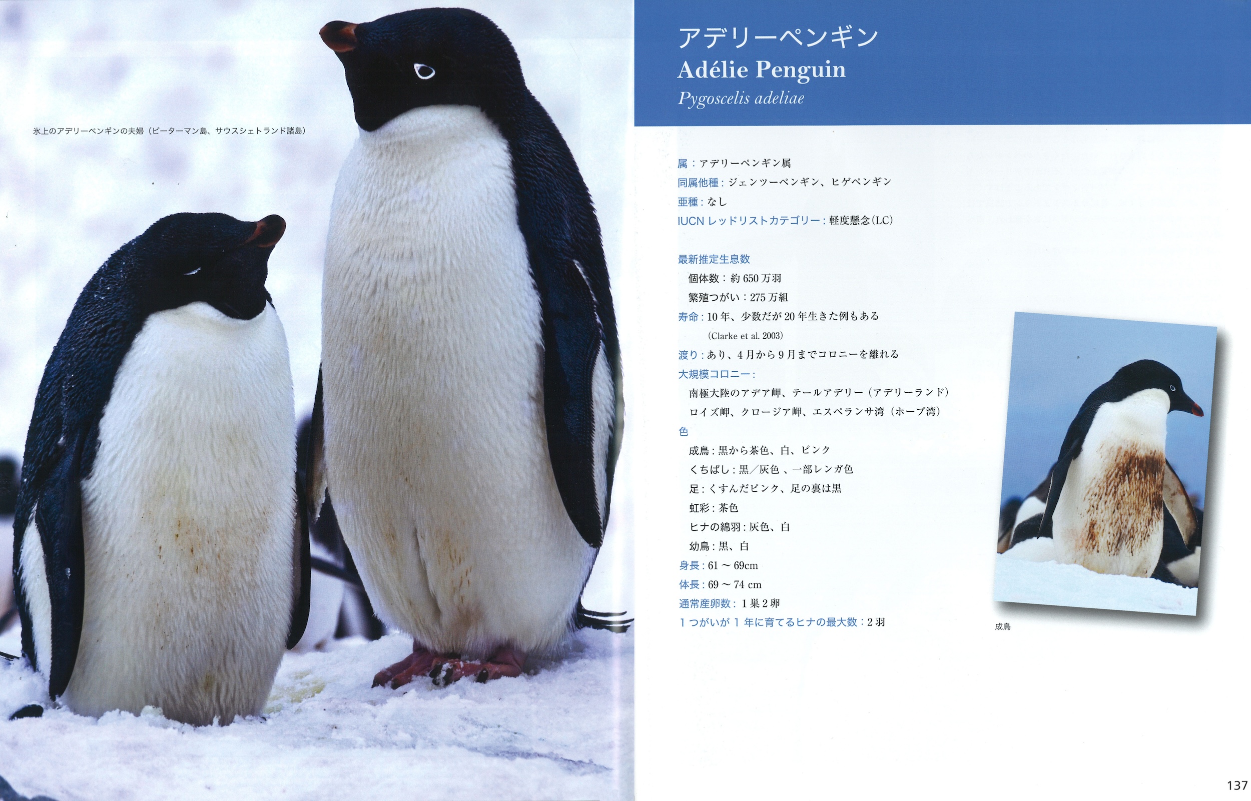 サムネイル画像2
