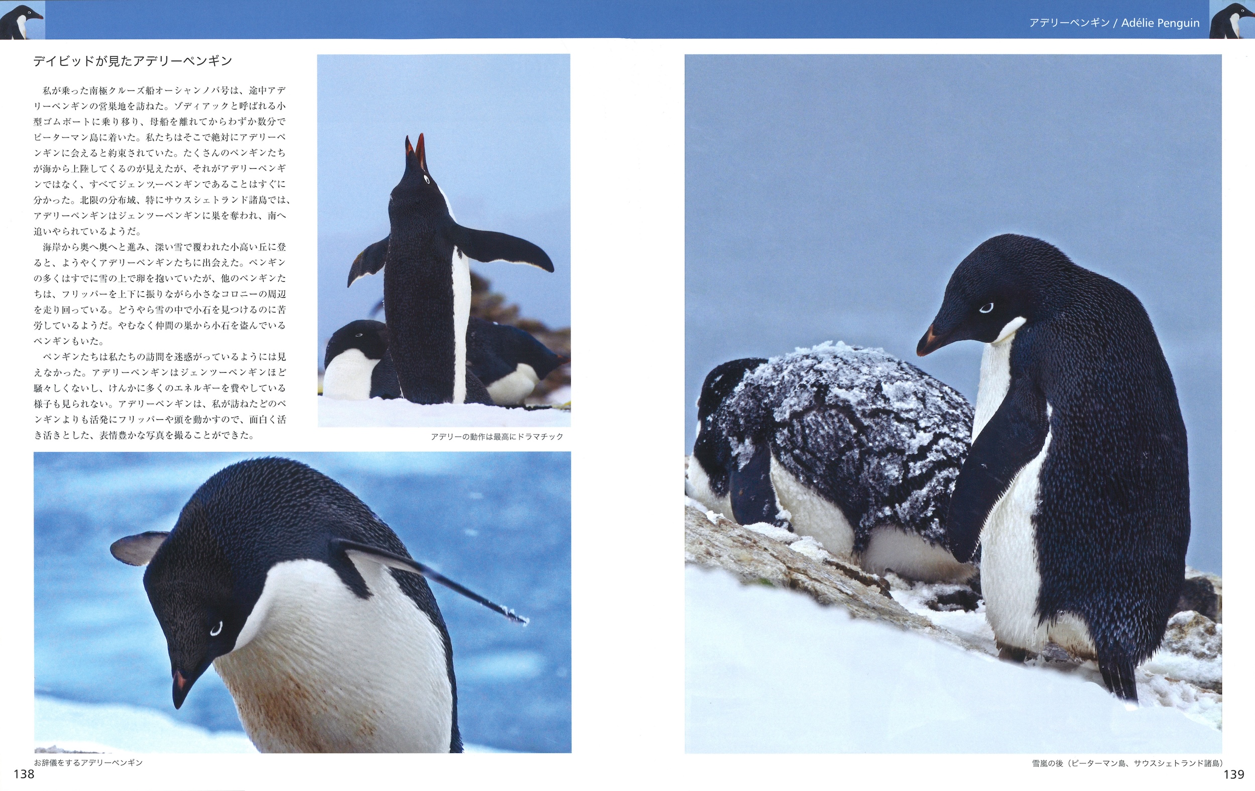 サムネイル画像3