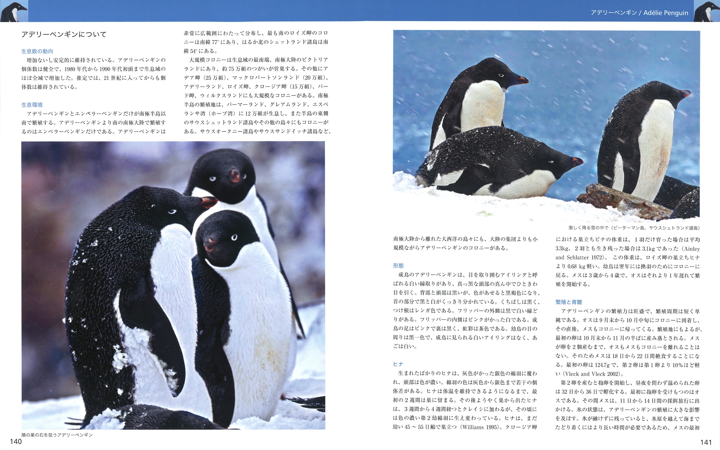 サムネイル画像4