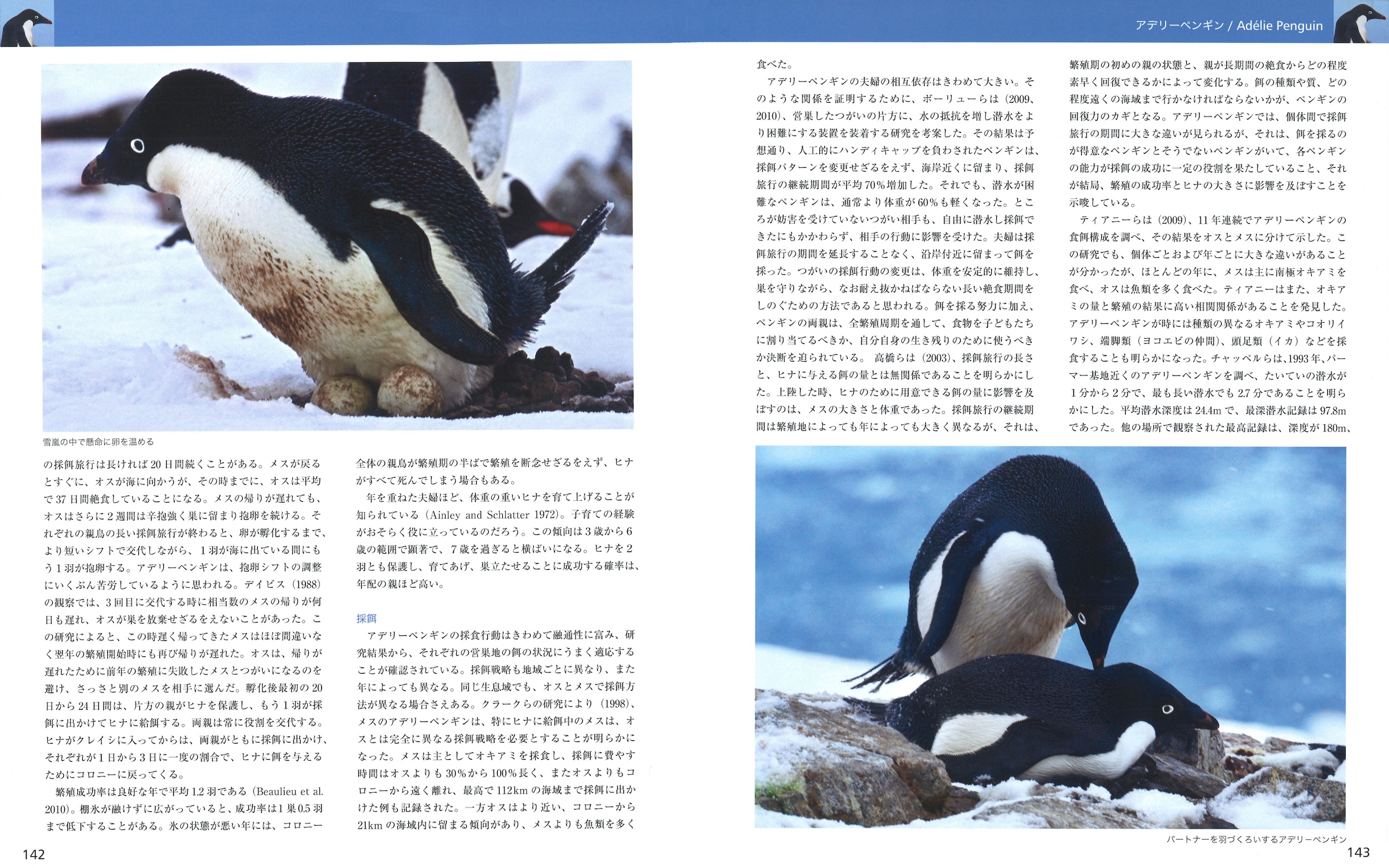 サムネイル画像5