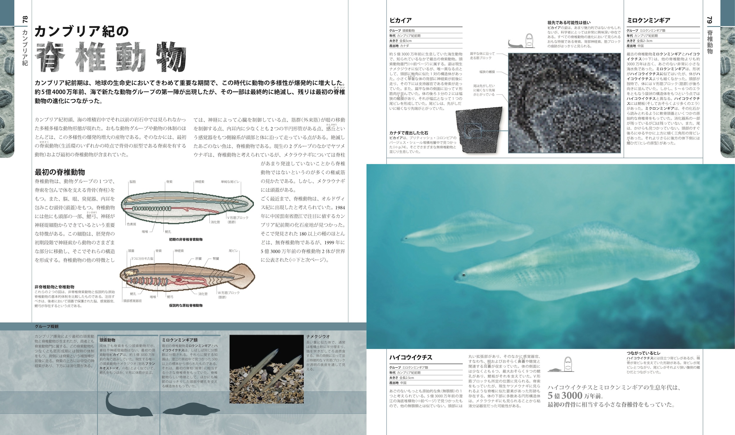 サムネイル画像3