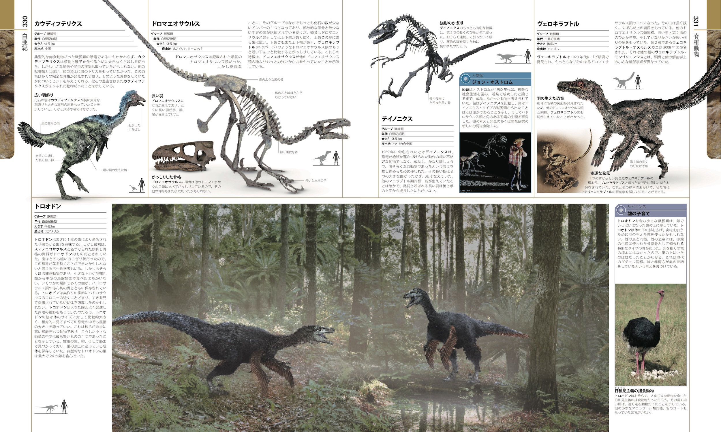 サムネイル画像5
