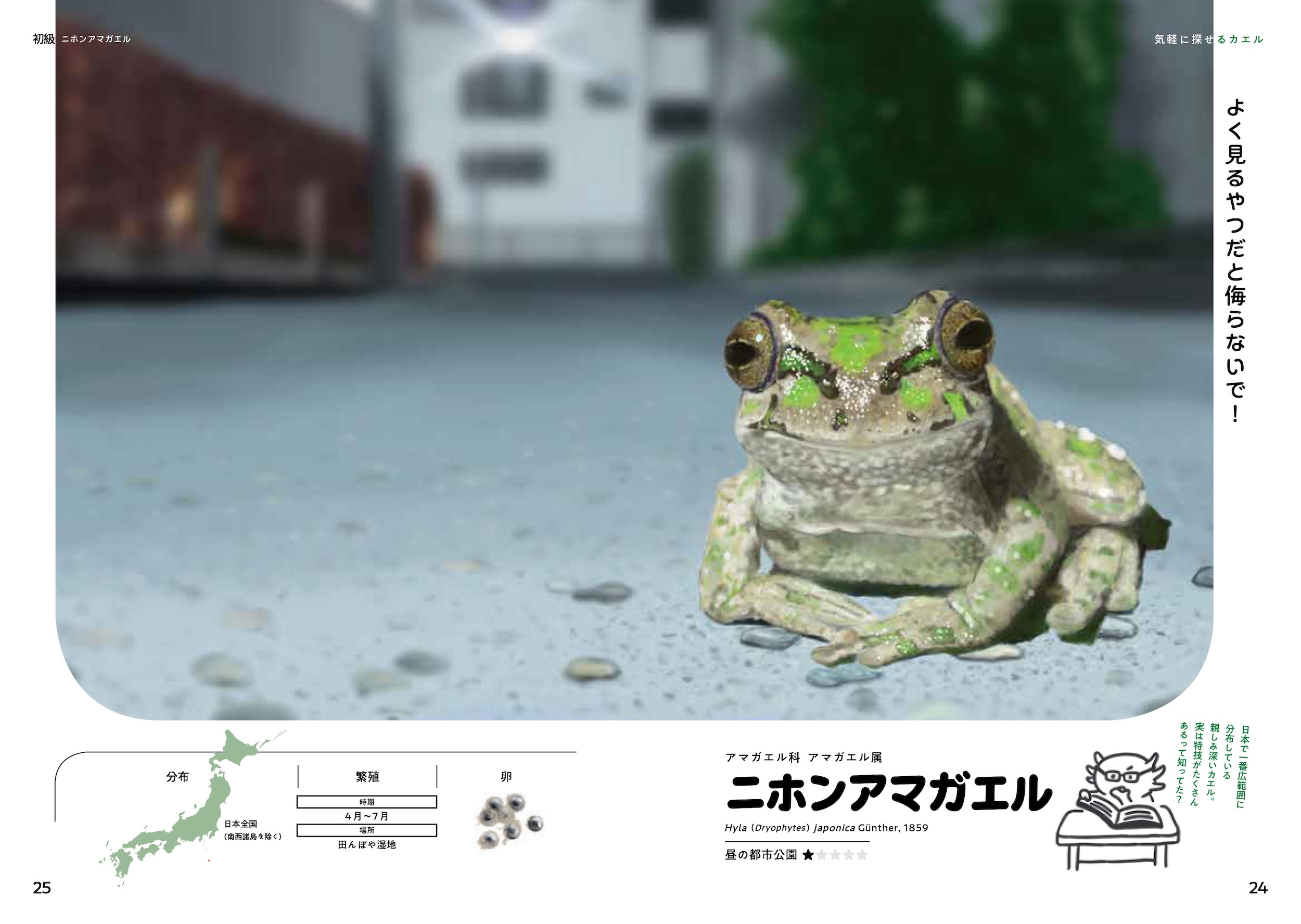 サムネイル画像2