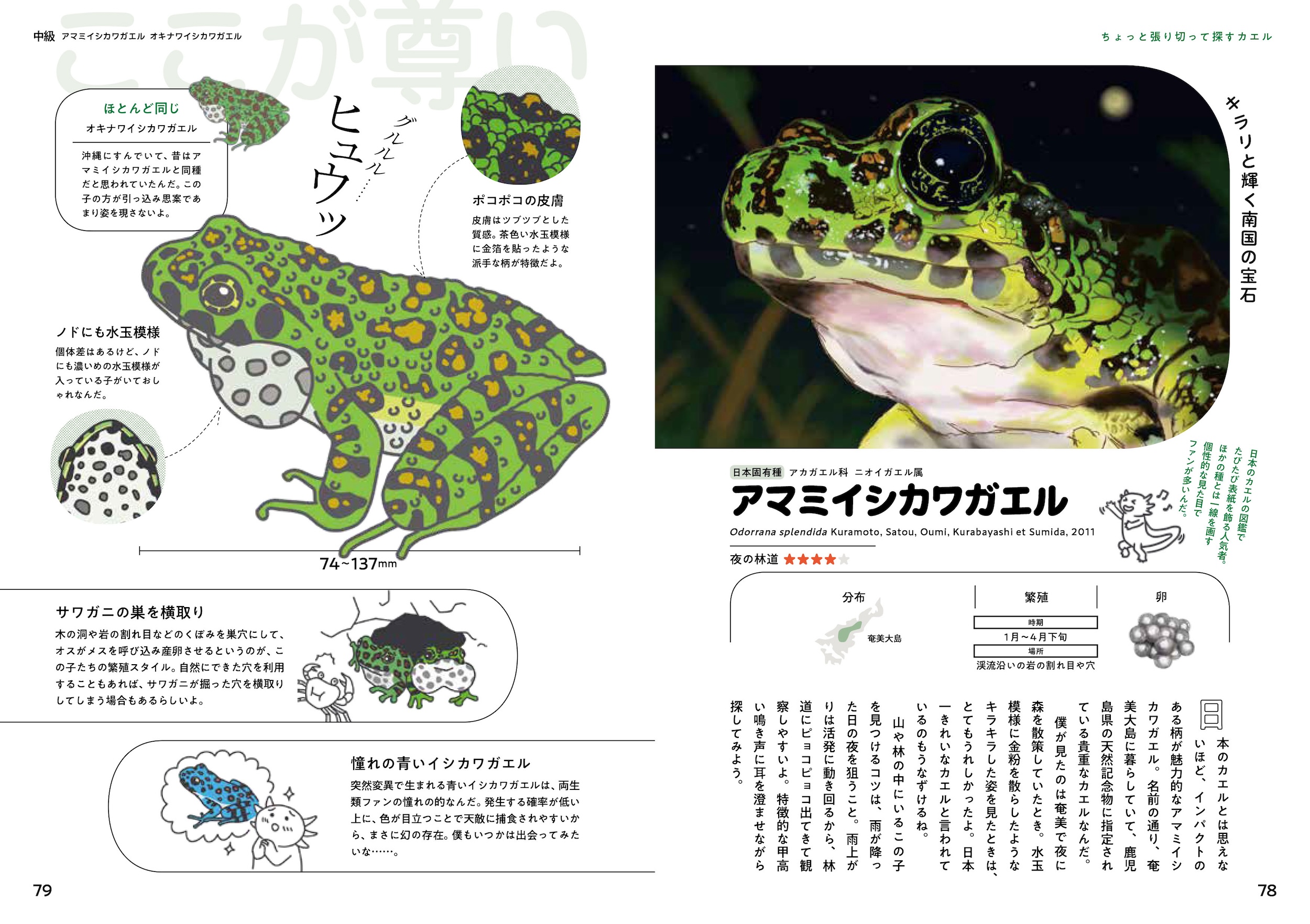 サムネイル画像3