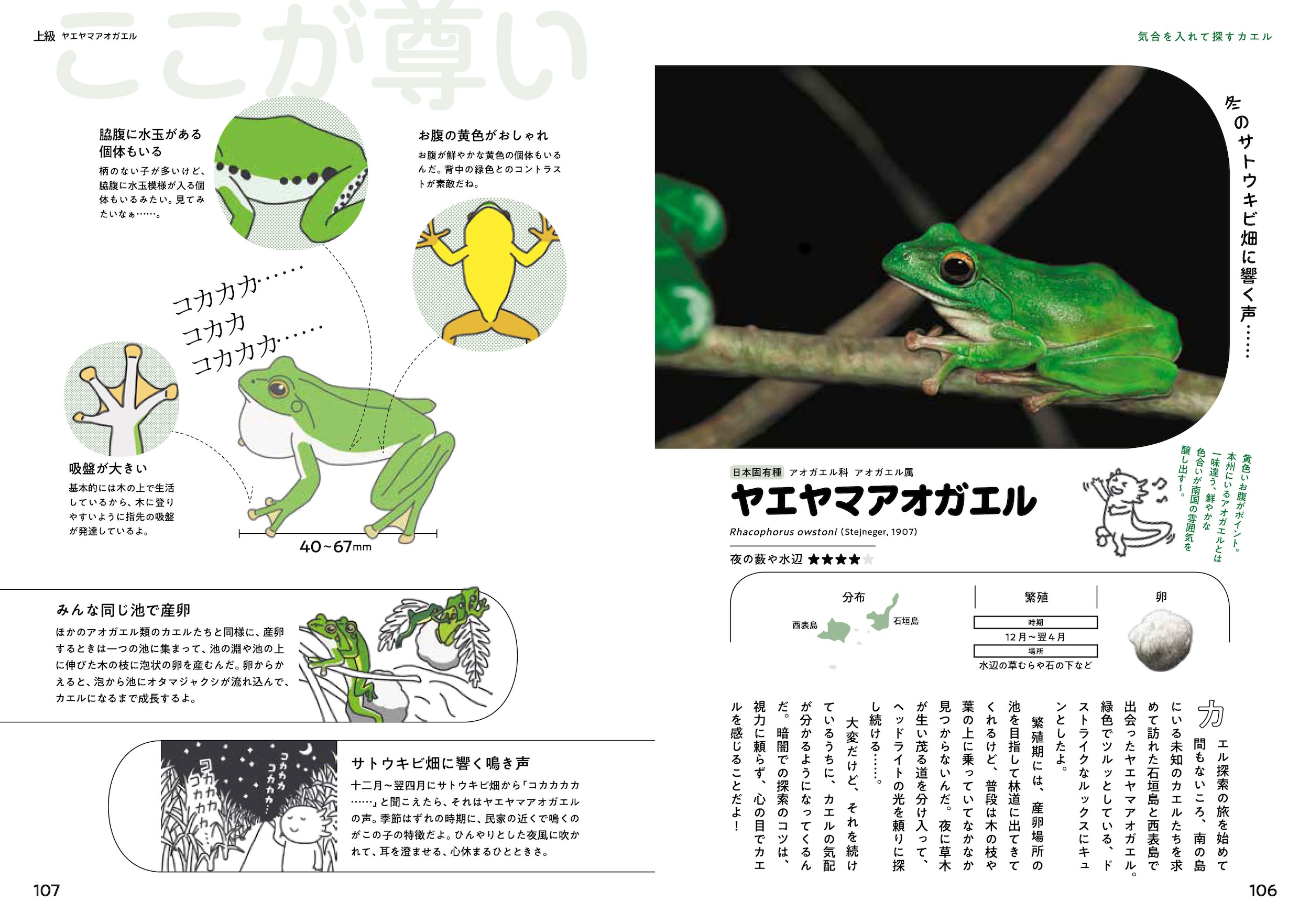 サムネイル画像4