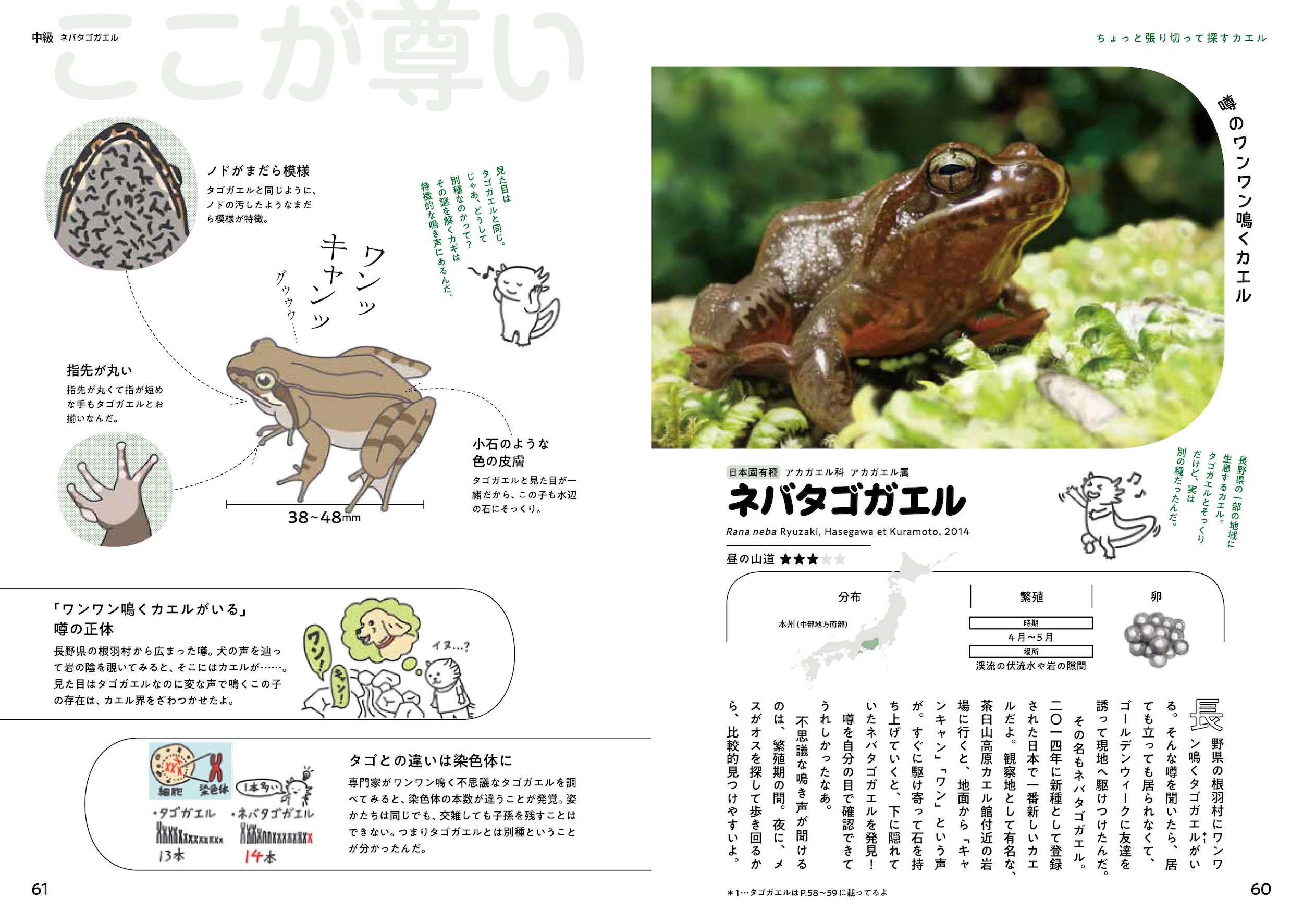 サムネイル画像5