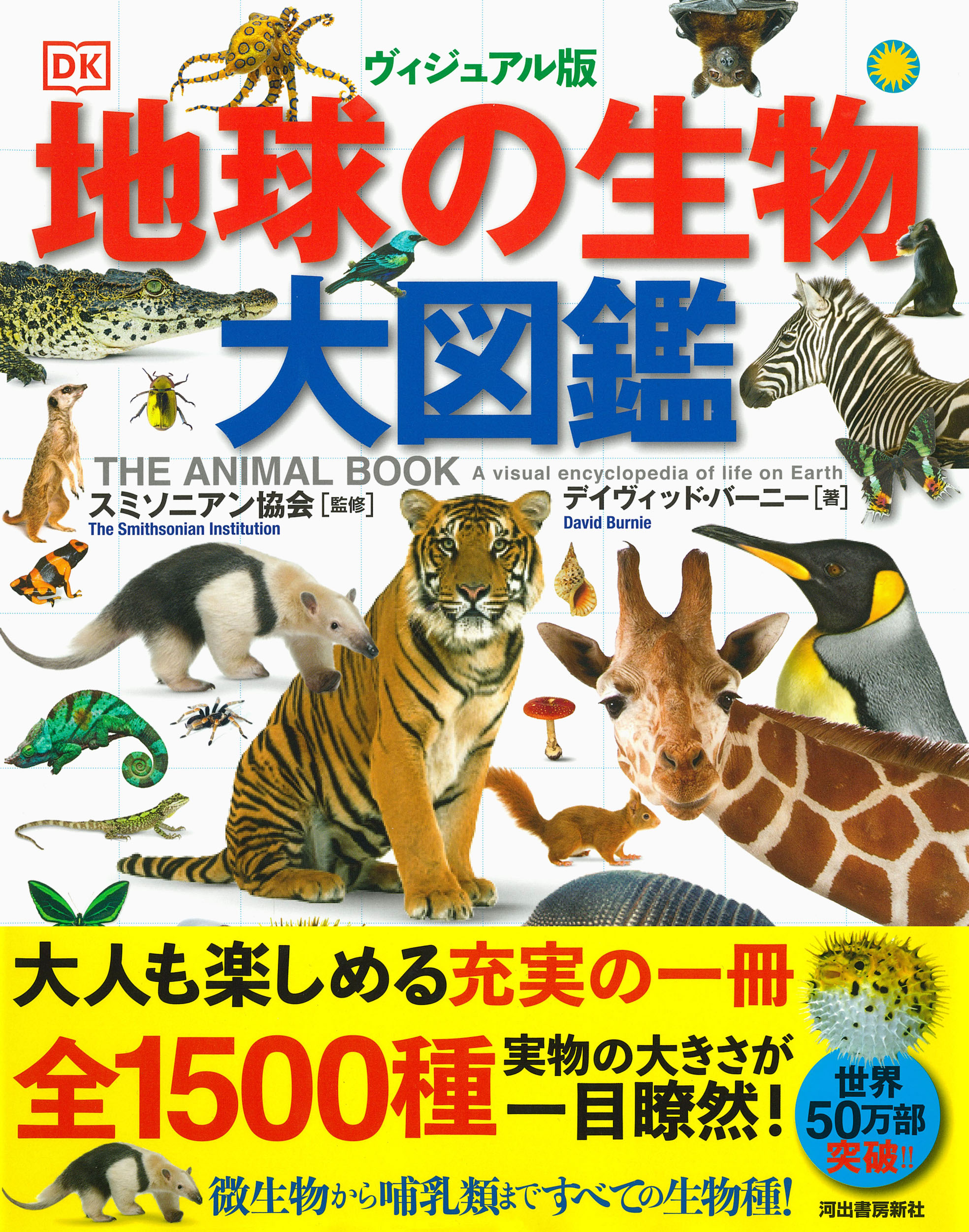 サムネイル画像1