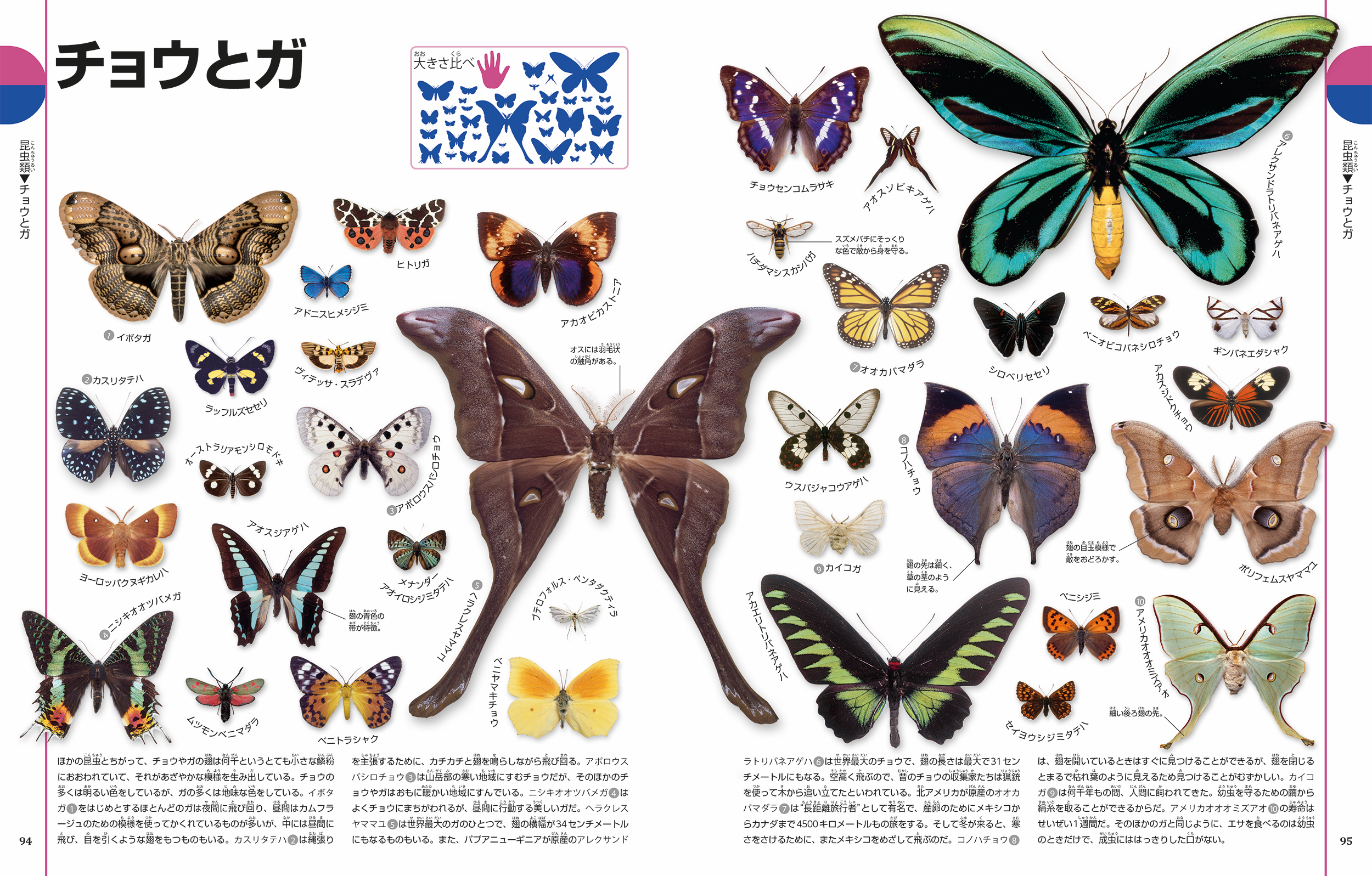 サムネイル画像4