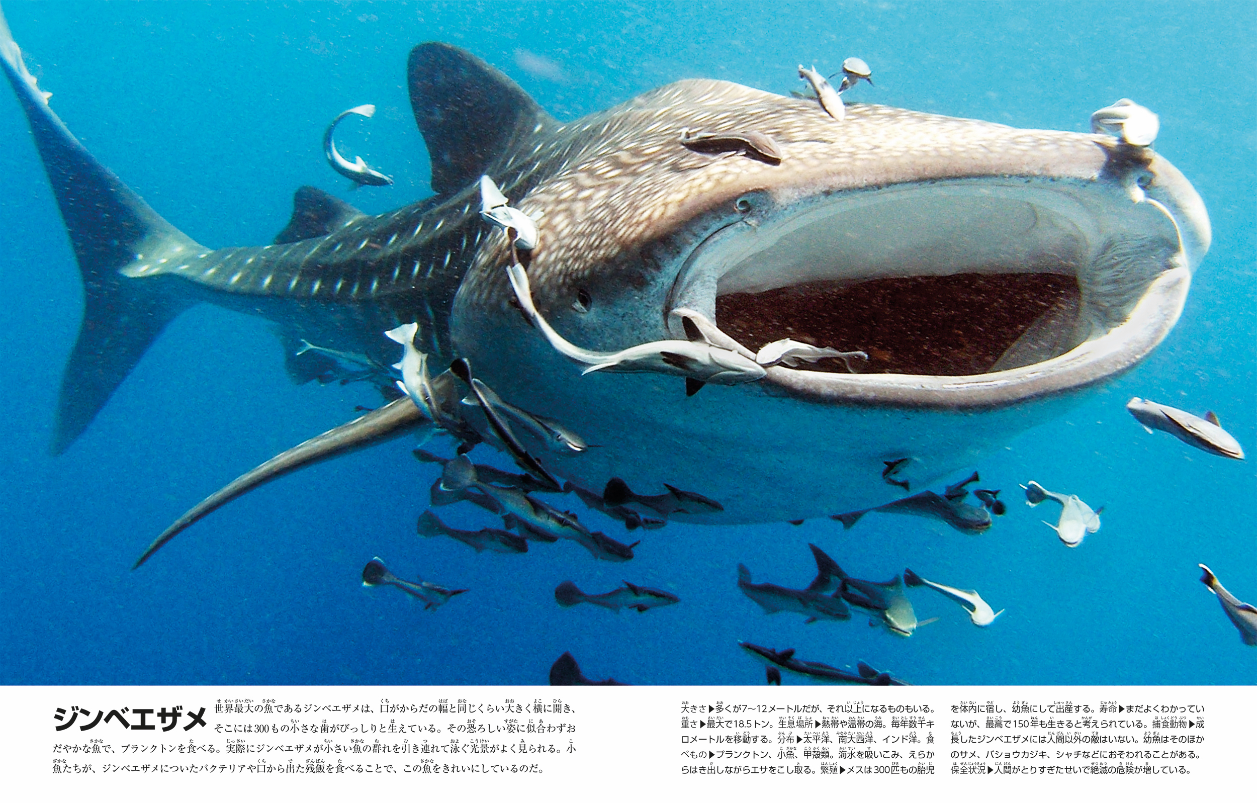 サムネイル画像5