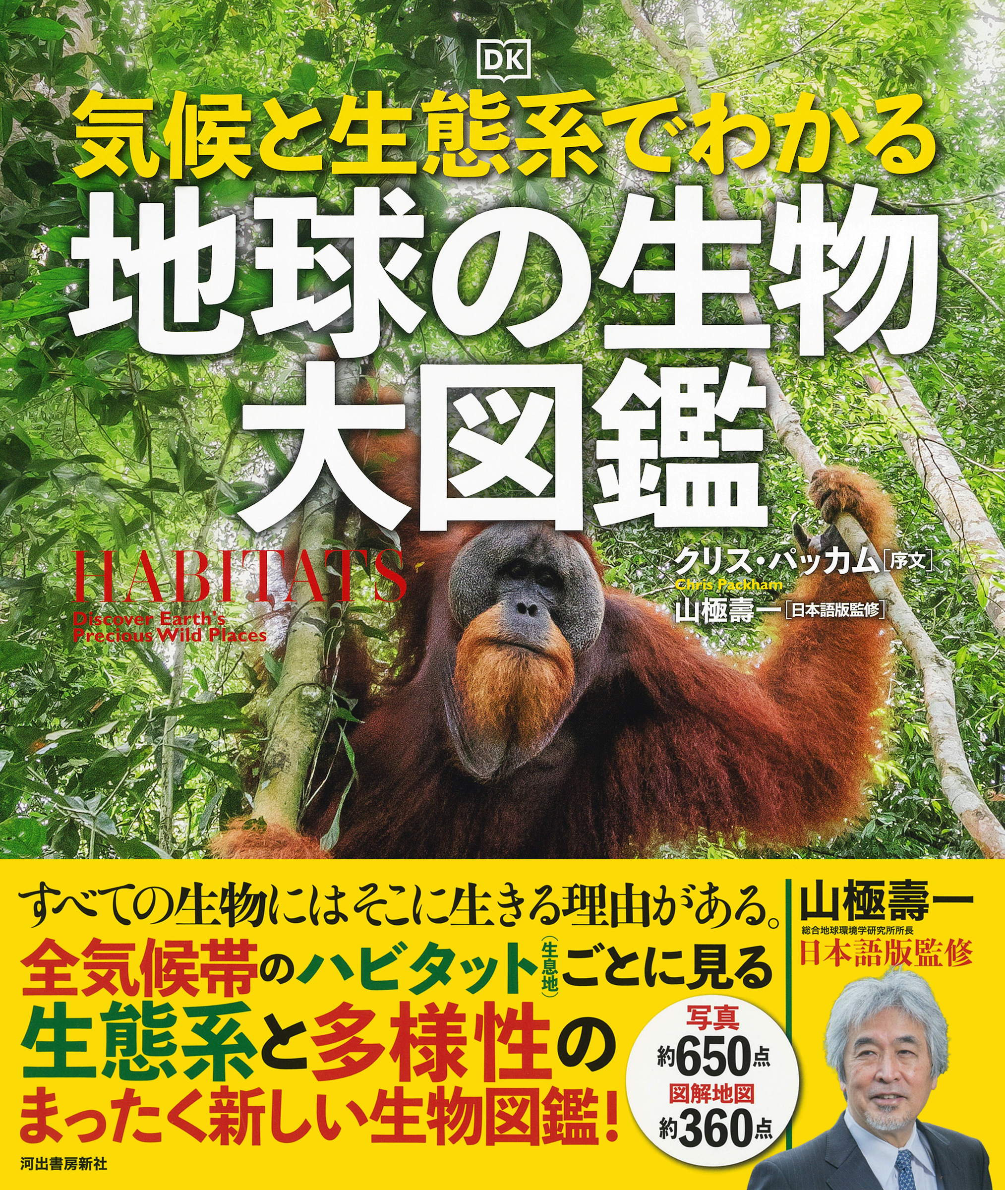 サムネイル画像1