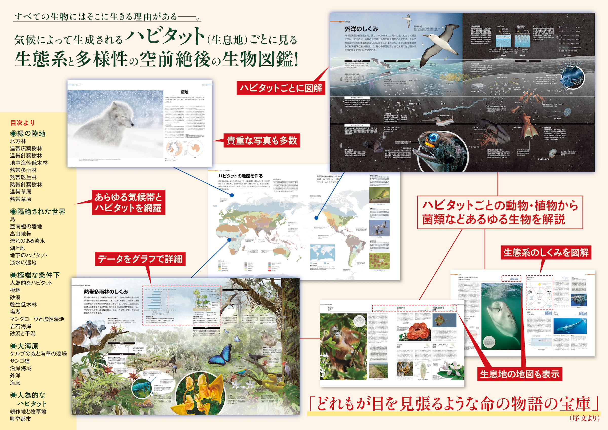 サムネイル画像2