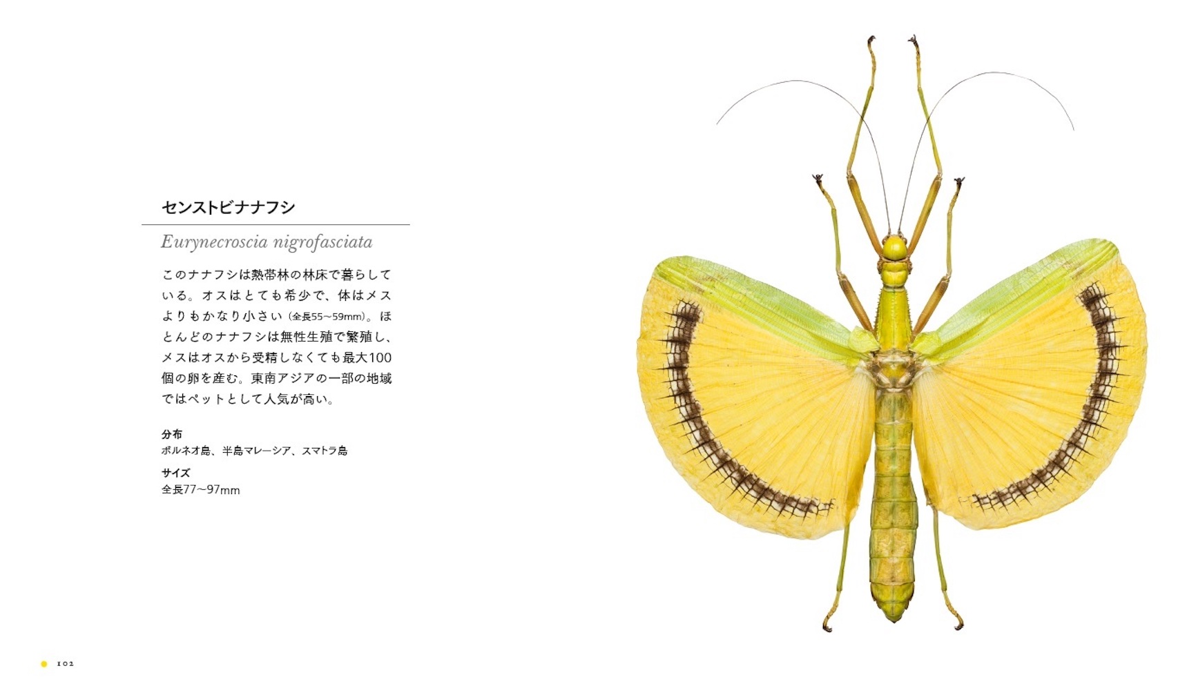 サムネイル画像4