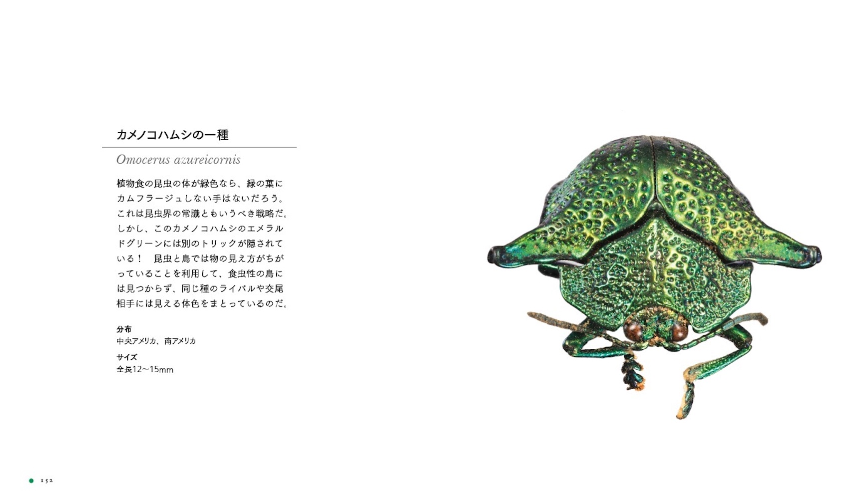 サムネイル画像5