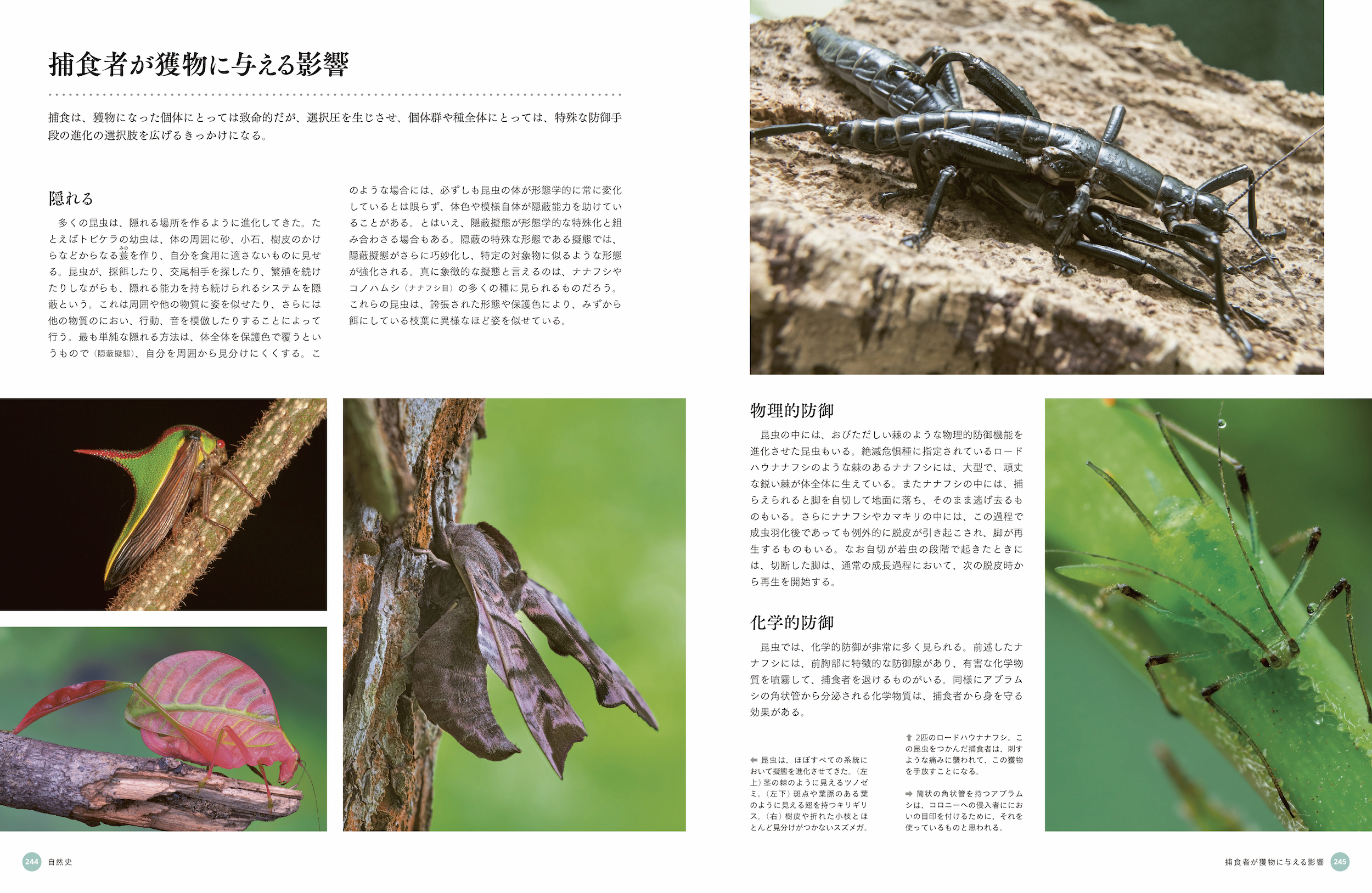 サムネイル画像5