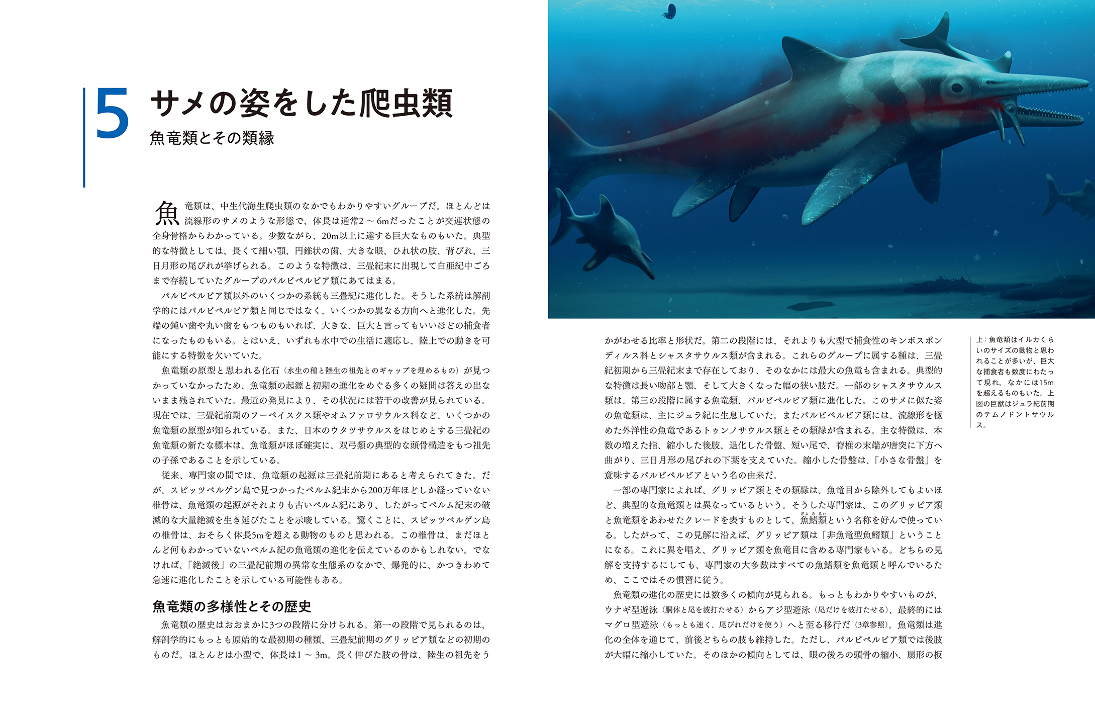 サムネイル画像4