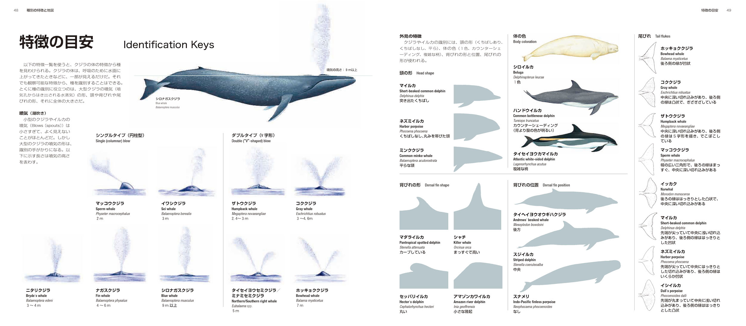 サムネイル画像2