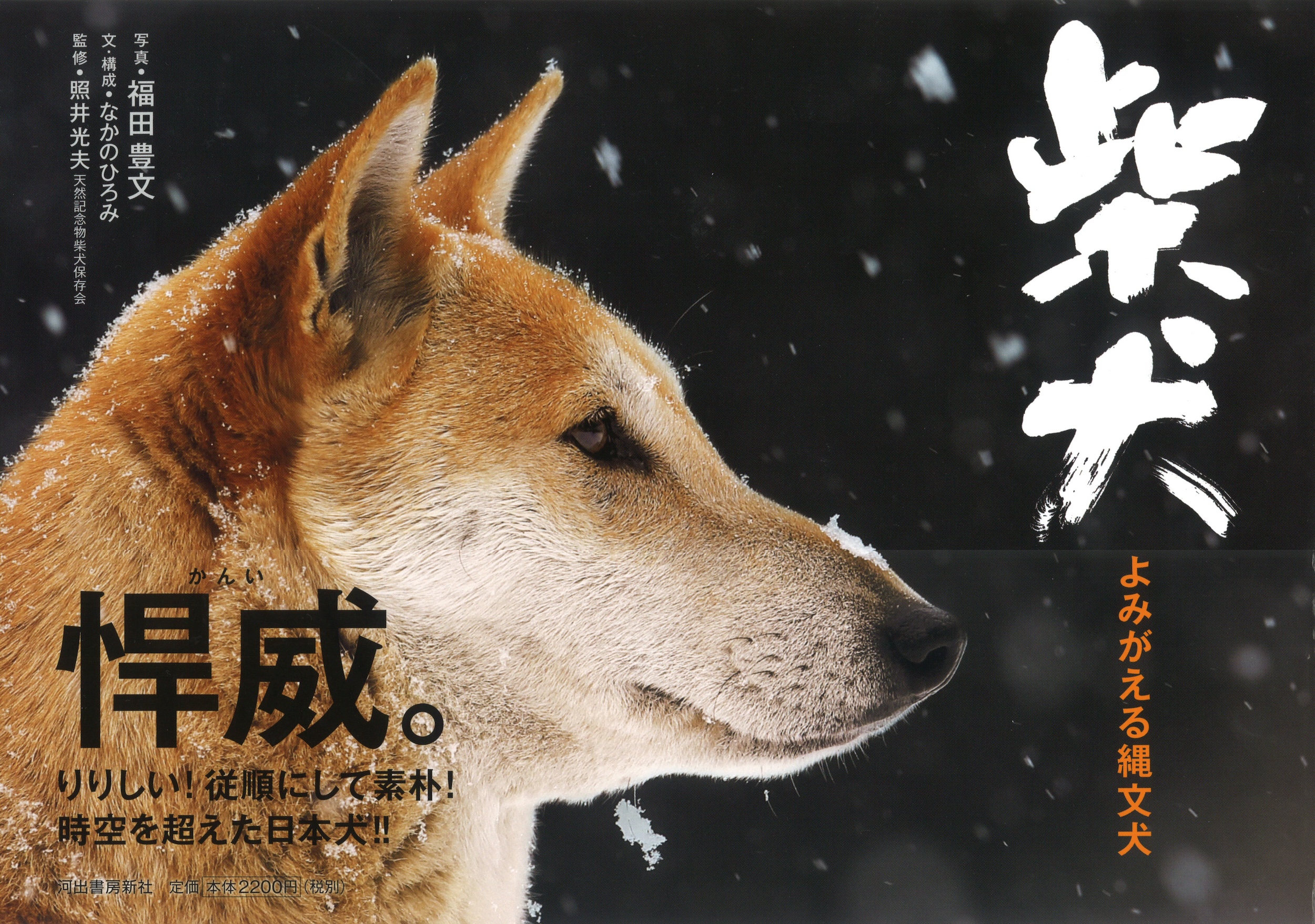 サムネイル画像1