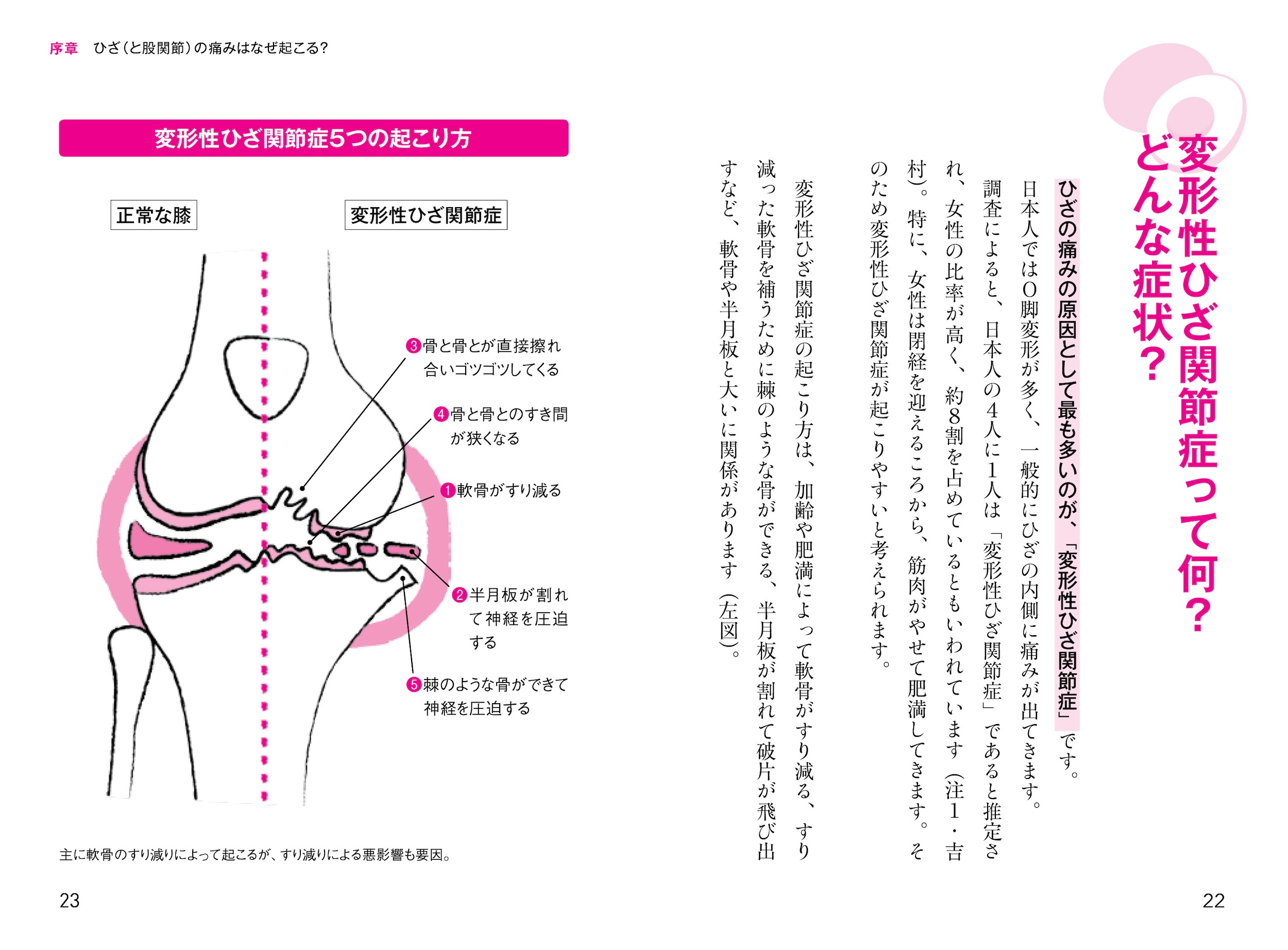 サムネイル画像2