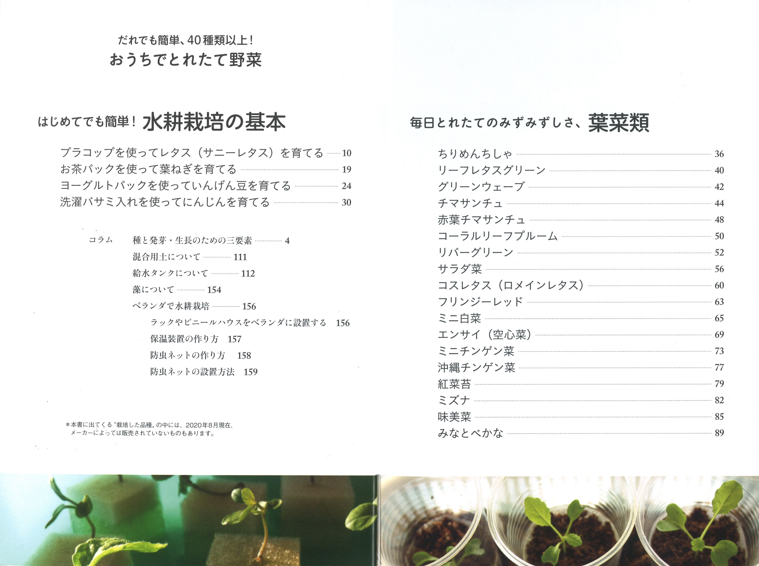 サムネイル画像2