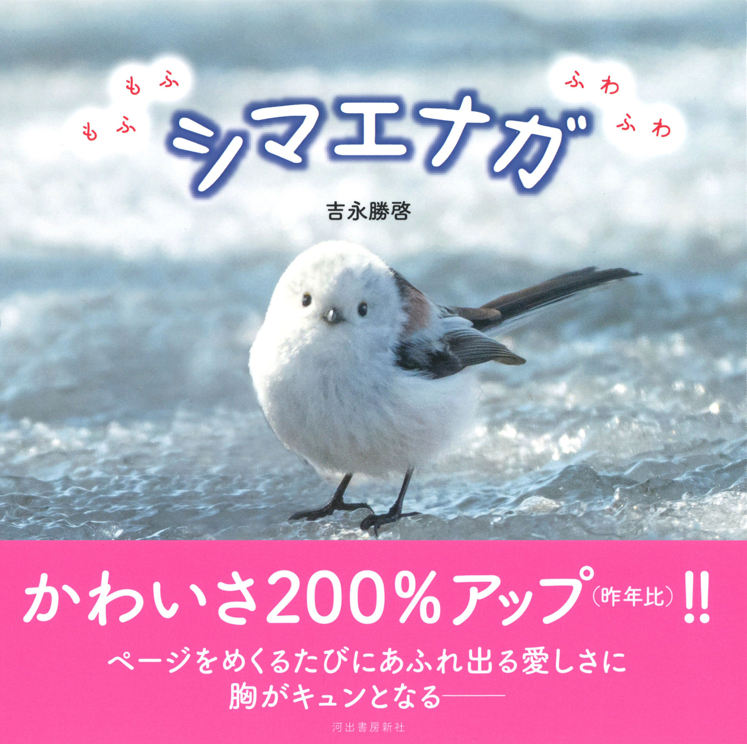 サムネイル画像1
