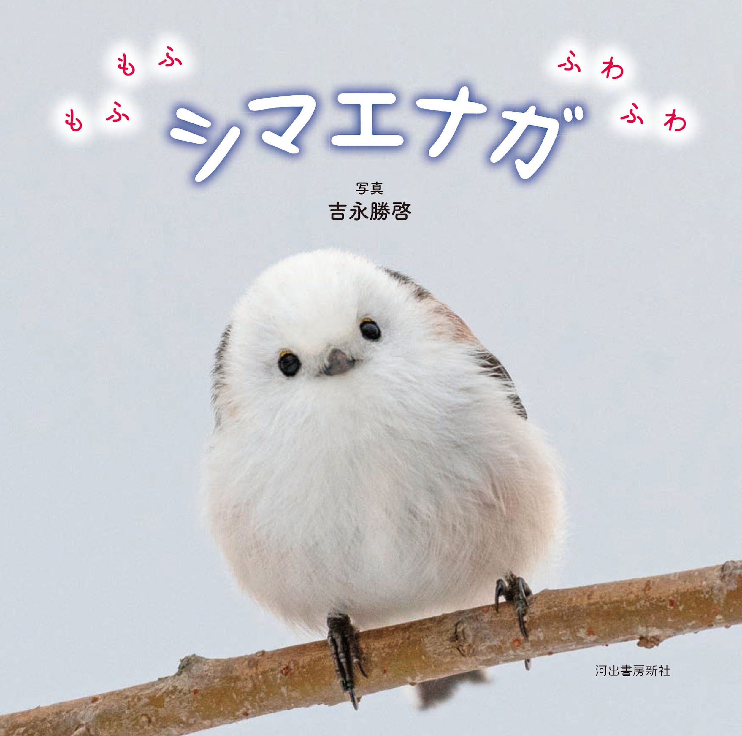 サムネイル画像2