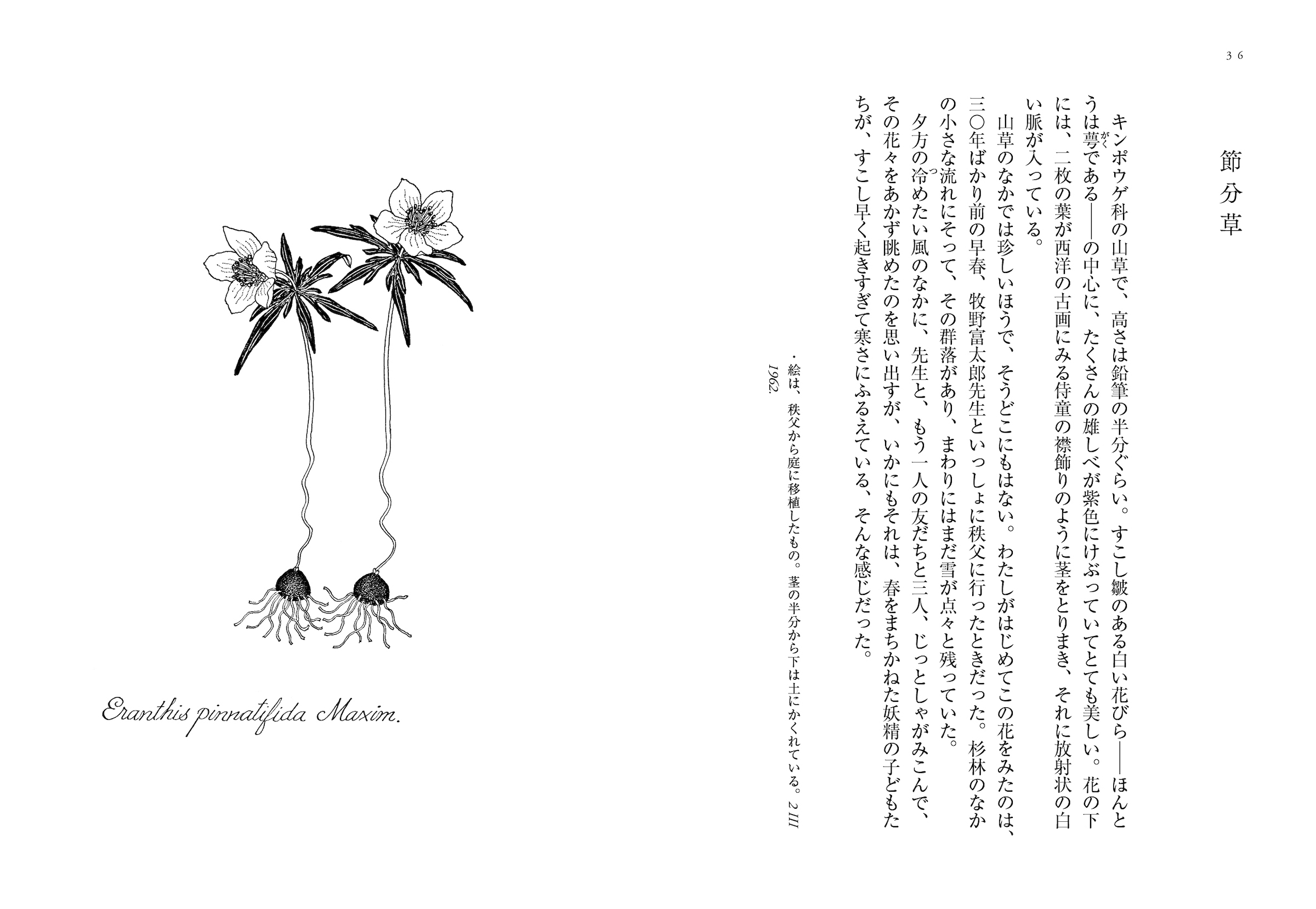 サムネイル画像2