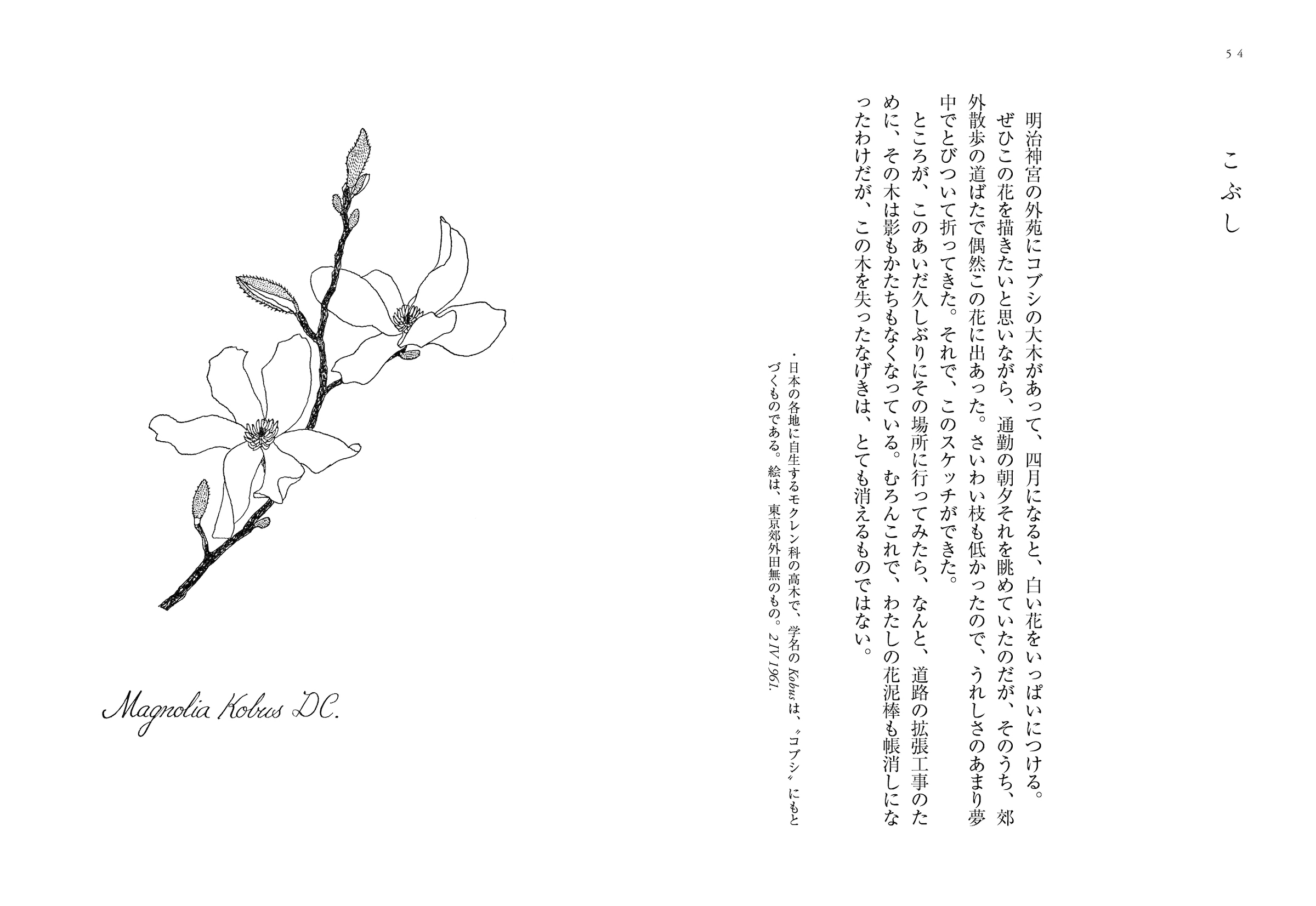 サムネイル画像3