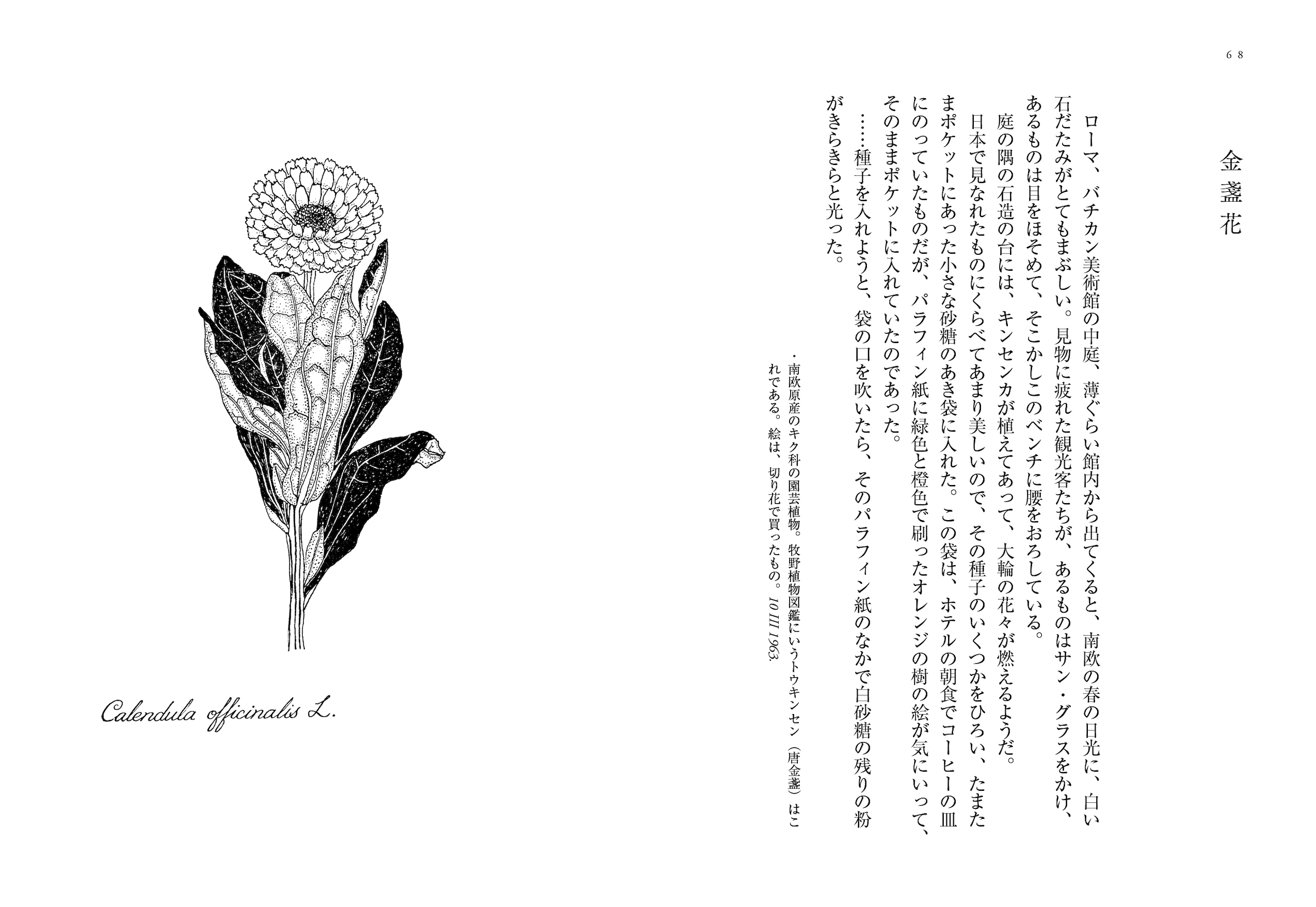 サムネイル画像4
