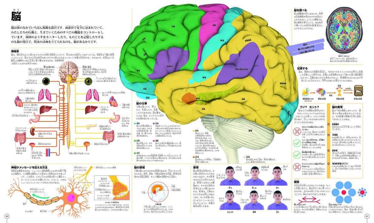 サムネイル画像4