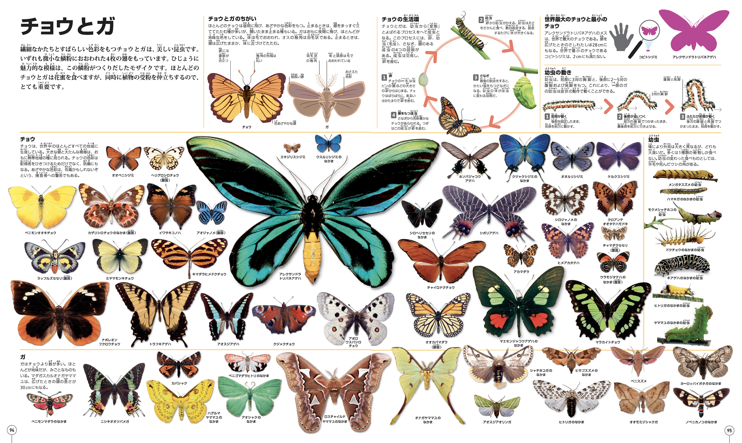 サムネイル画像3