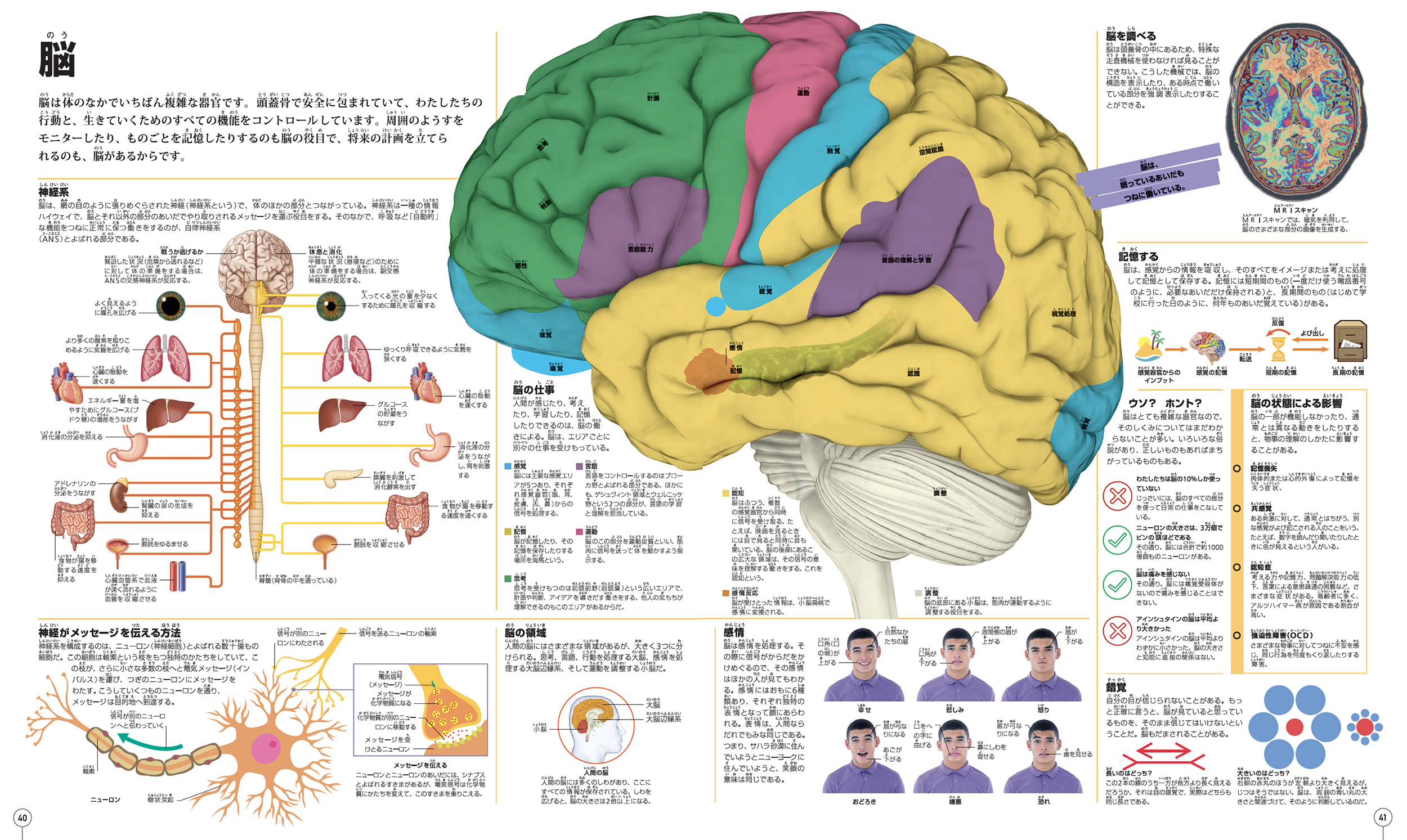 サムネイル画像4