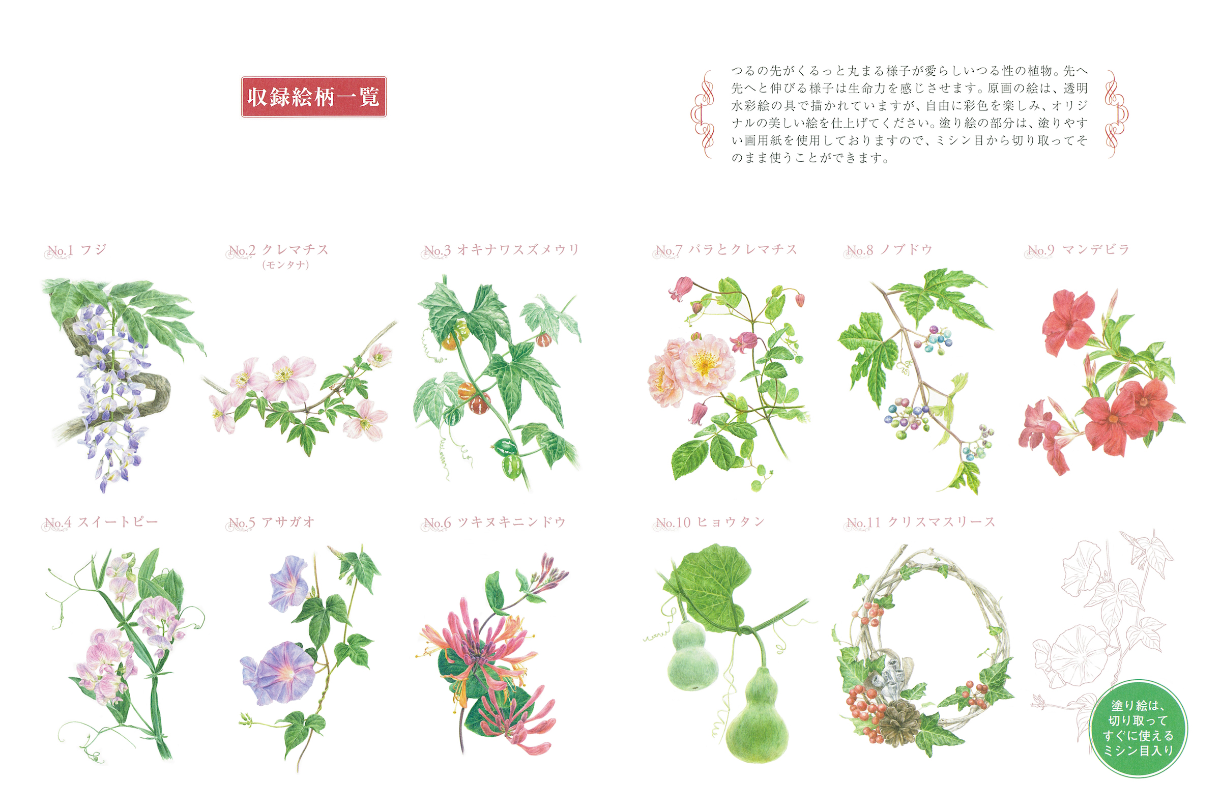 サムネイル画像1